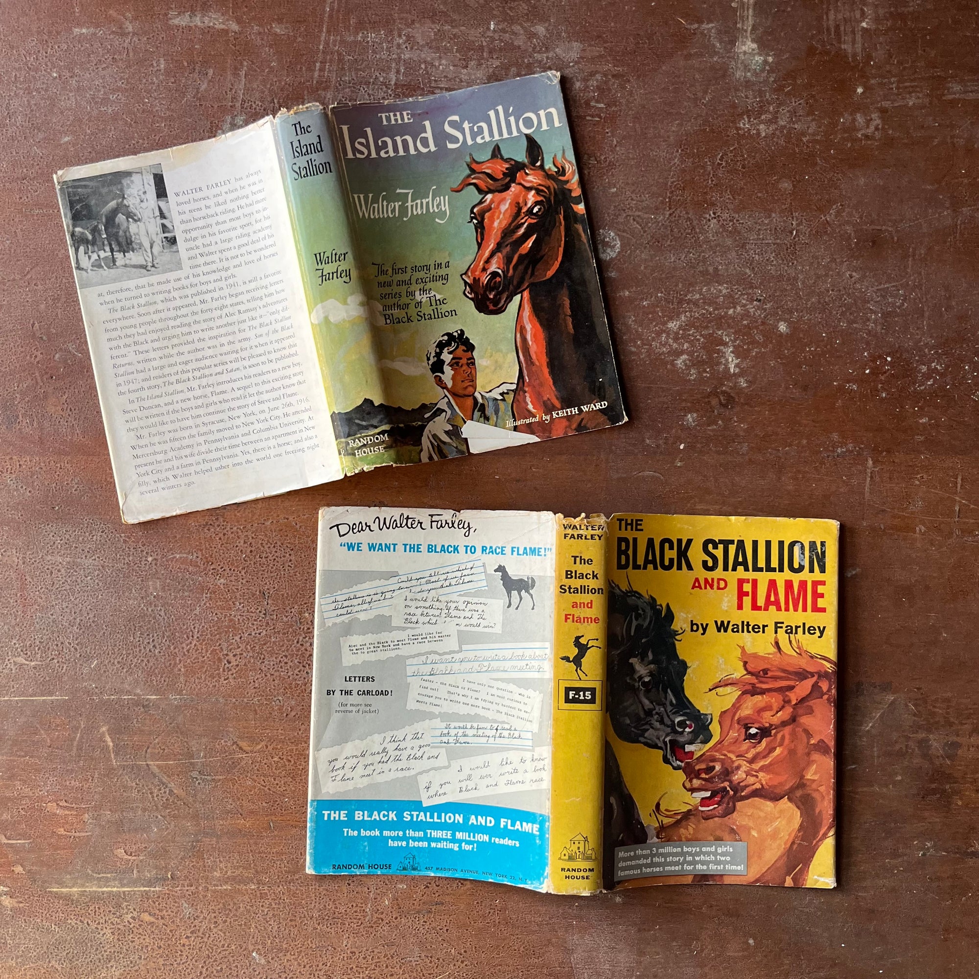 Pair of The Black Stallion Books-The Island Stallion and The Black Stallion & Flame-written by Walter Farley-vintage children's chapter books-view of the outside of the dust jackets