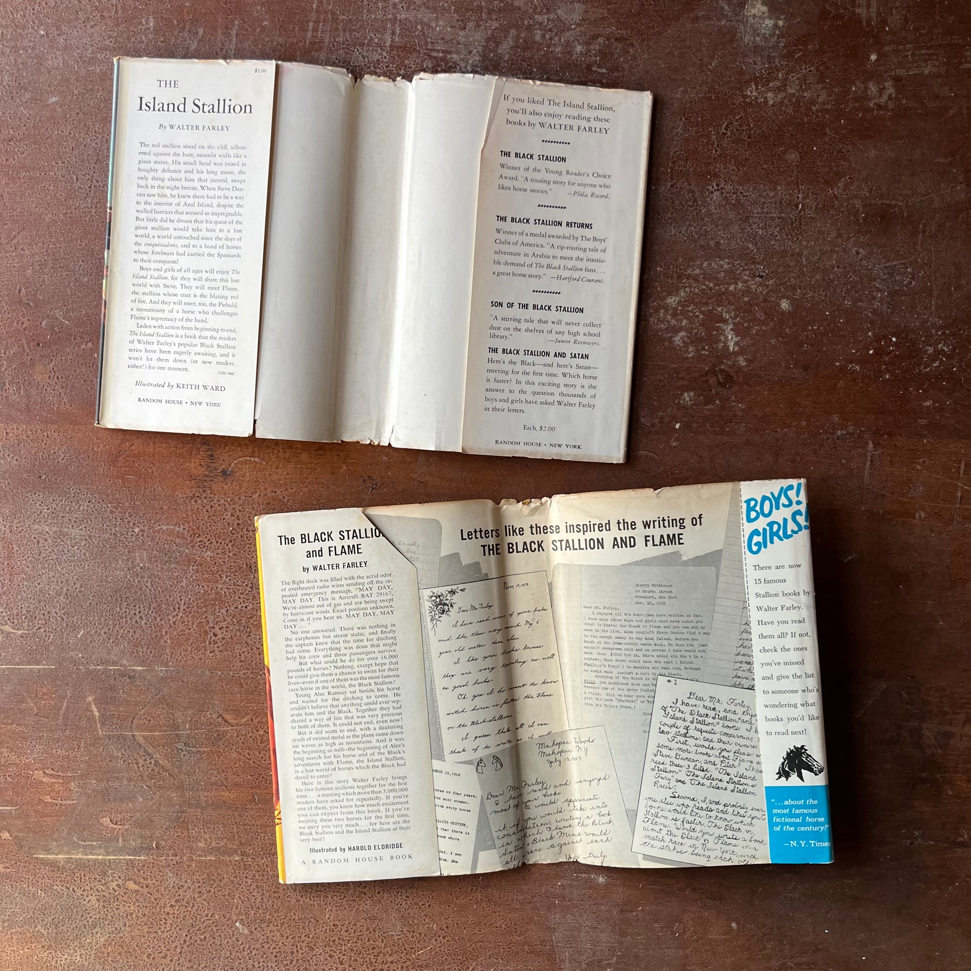 Pair of The Black Stallion Books-The Island Stallion and The Black Stallion & Flame-written by Walter Farley-vintage children's chapter books-view of the dust jacket's inside flaps