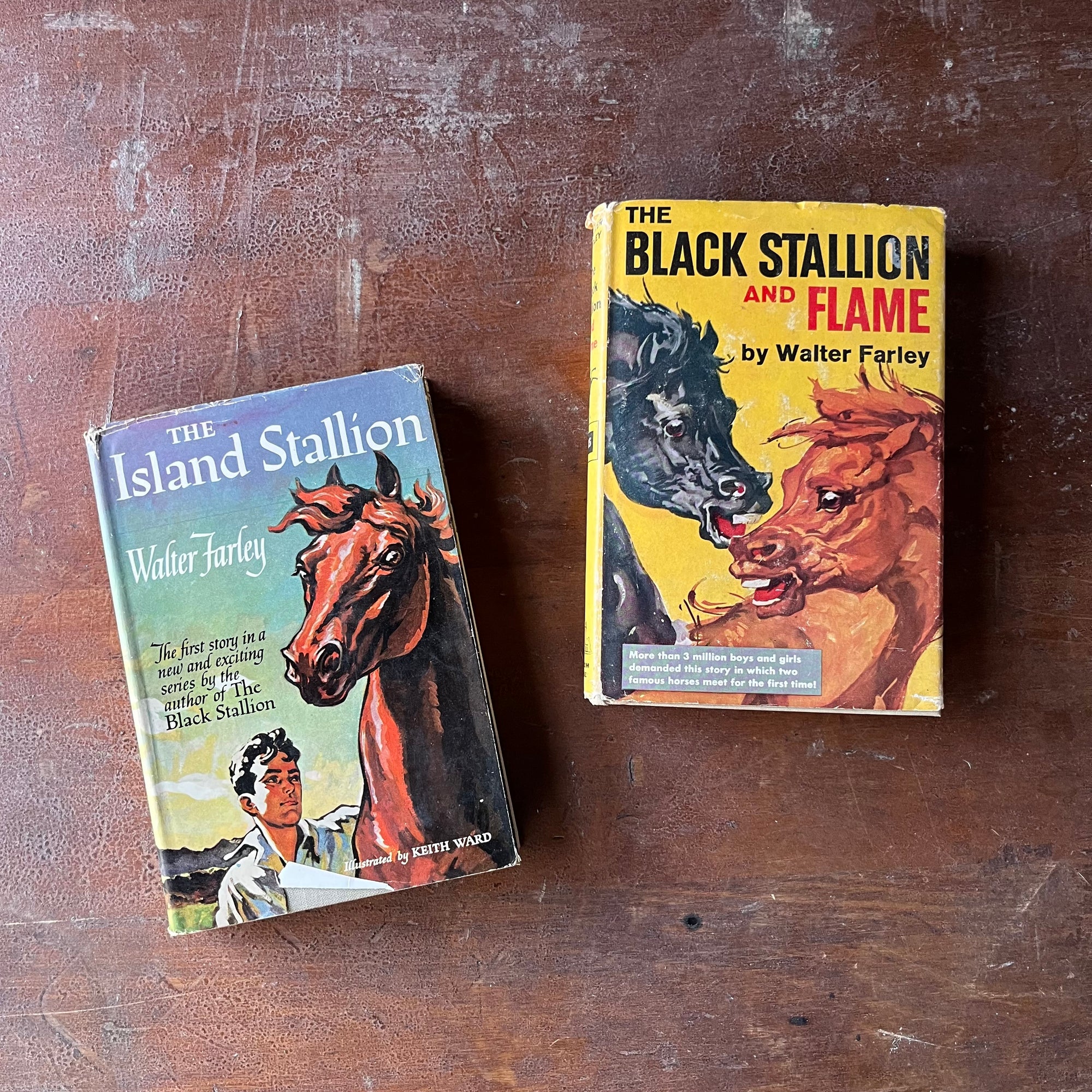 Pair of The Black Stallion Books-The Island Stallion and The Black Stallion & Flame-written by Walter Farley-vintage children's chapter books-view of the dust jacket's front covers with illustrations from each book