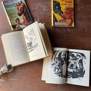 Pair of The Black Stallion Books-The Island Stallion and The Black Stallion & Flame-written by Walter Farley-vintage children's chapter books-view of a sample of the illustrations in each book