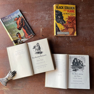Pair of The Black Stallion Books-The Island Stallion and The Black Stallion & Flame-written by Walter Farley-vintage children's chapter books-view of the title pages