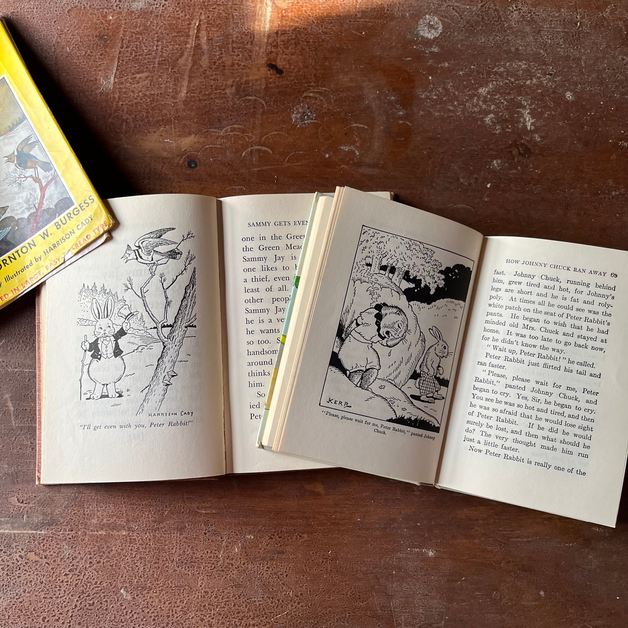 Pair of Thorton W. Burgess Books: The Adventures of Sammy Jay & Mother West Wind's Animal Friends - vintage children's storybooks - view of a sample of the illustrations within each book