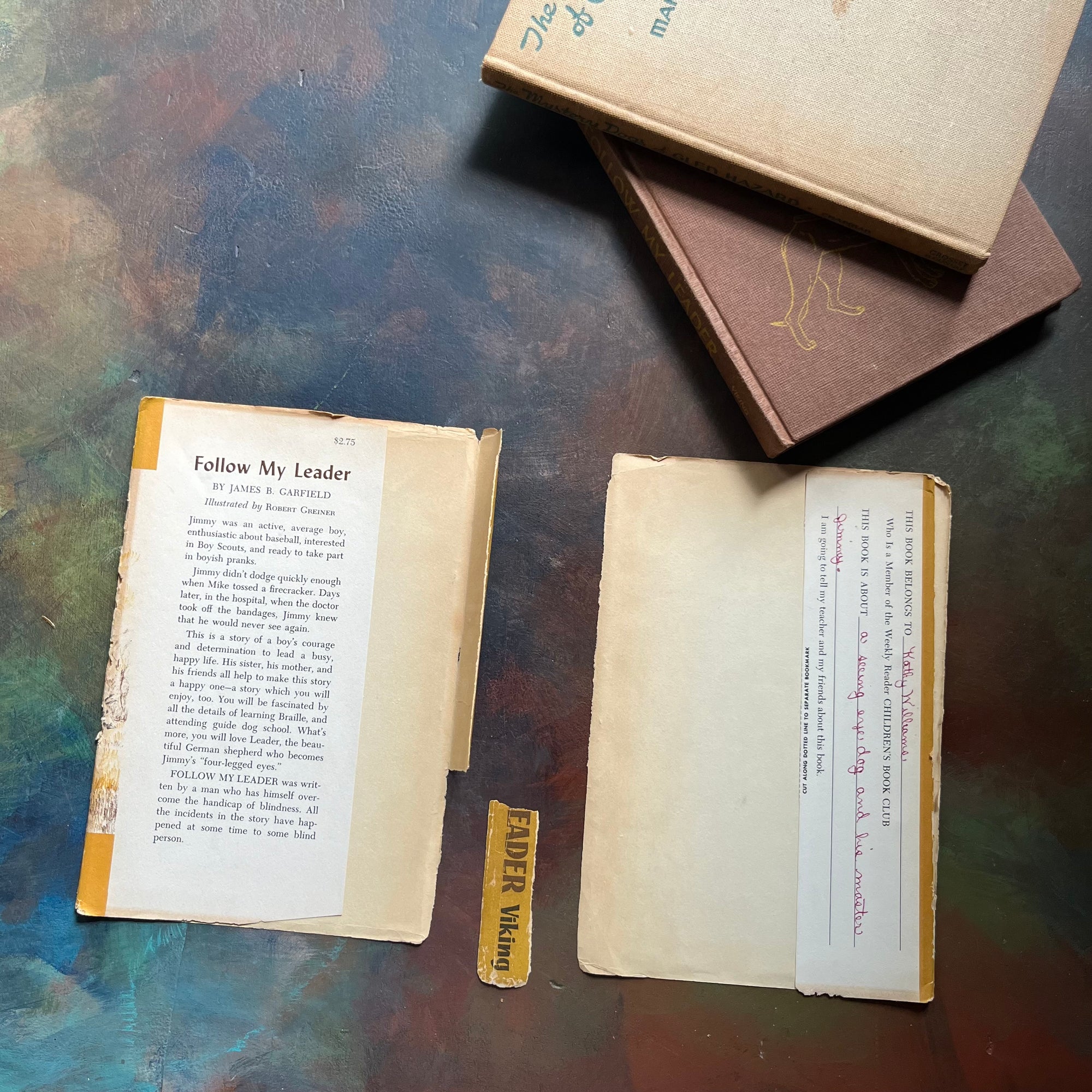 Pair of vintage dog books for children-Follow My Lead by James B. Garfield-The Mystery Dogs of Glen Hazard by Maristan Chapman-view of the dust jacket's inside flaps