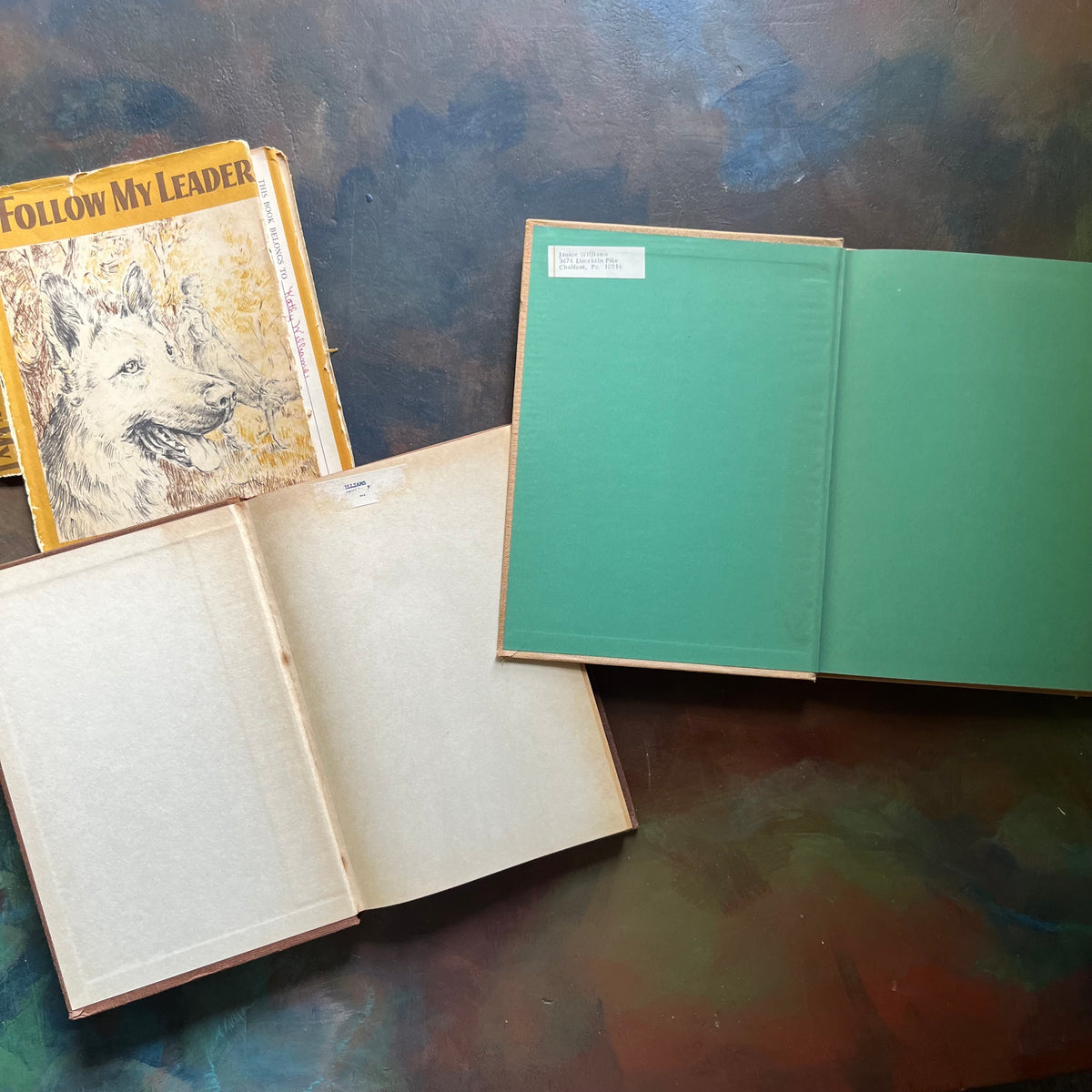 The Mystery Dogs of Glen Hazard & Follow My Lead