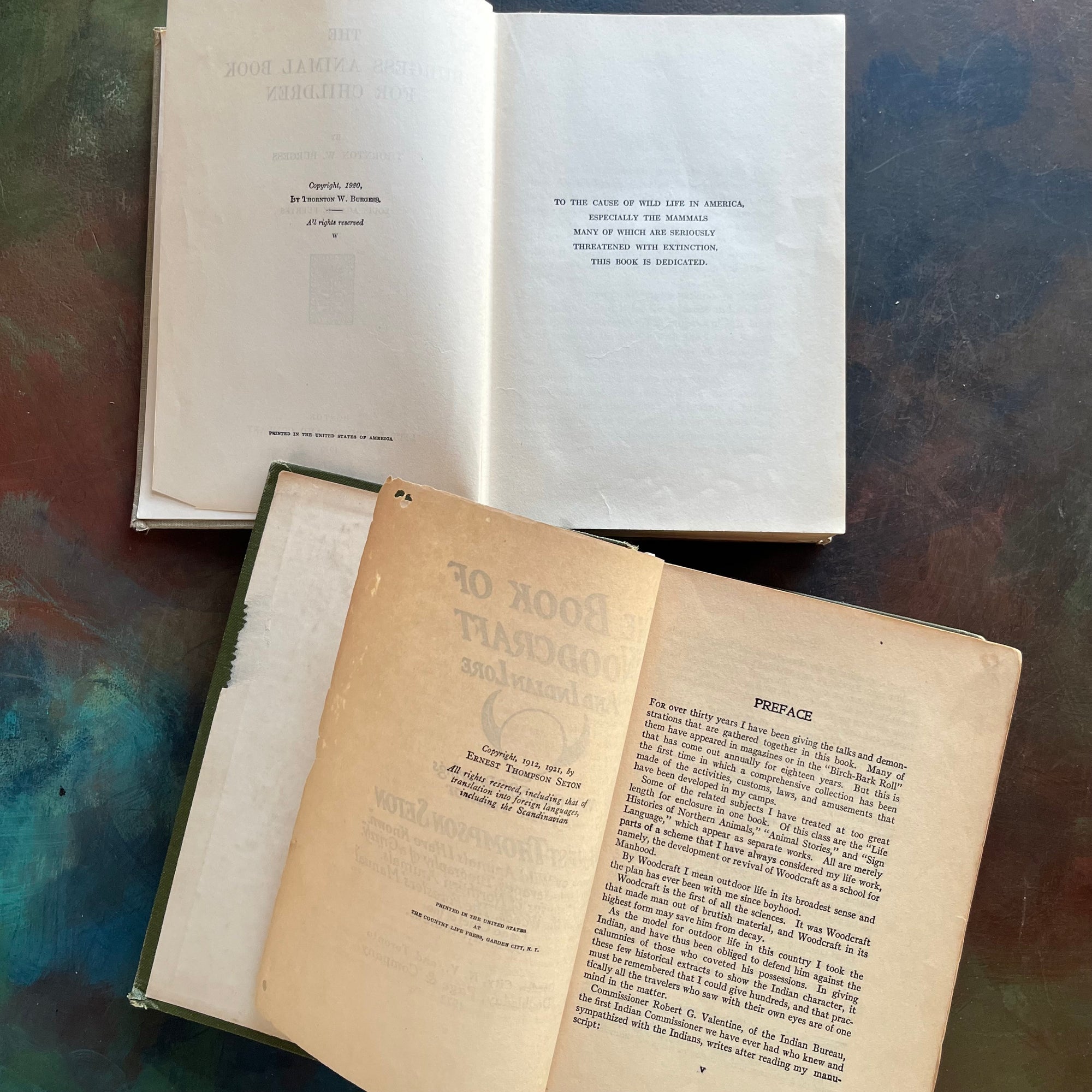 Pair of vintage living nature guides for children and young adults-The Burgess Animal Book for Children written by Thornton W. Burgess and The Book of Woodcraft written by Ernest Thompson Seton-view of the copyright pages