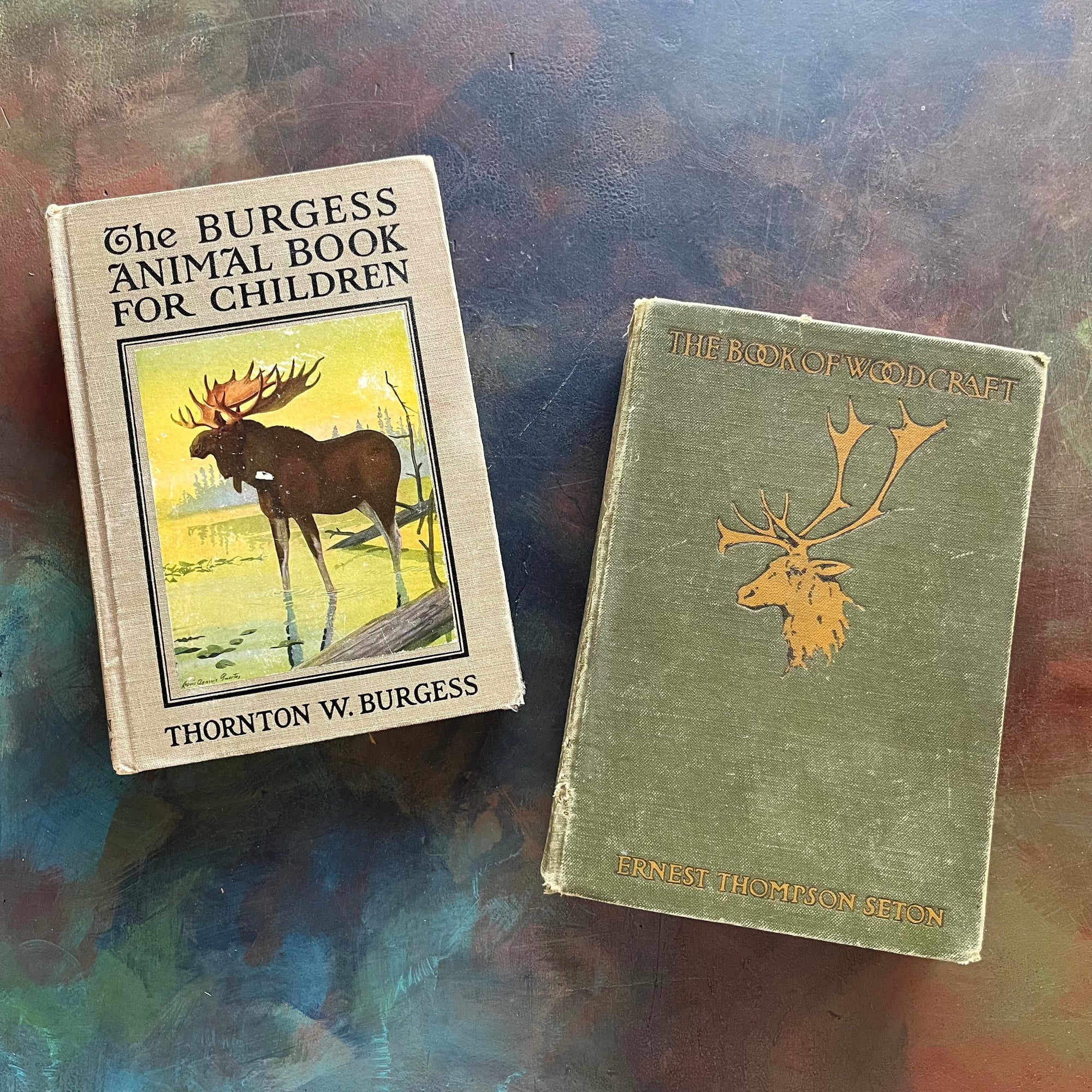 Pair of vintage living nature guides for children and young adults-The Burgess Animal Book for Children written by Thornton W. Burgess and The Book of Woodcraft written by Ernest Thompson Seton-view of the front covers