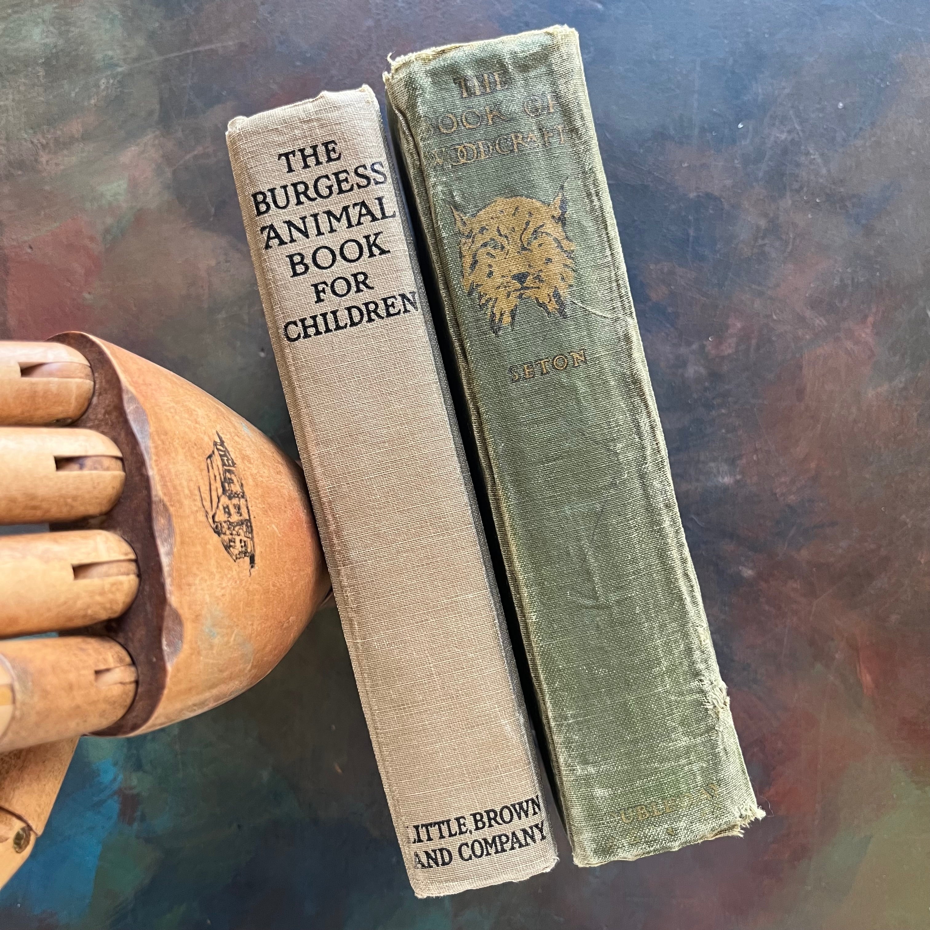 Pair of vintage living nature guides for children and young adults-The Burgess Animal Book for Children written by Thornton W. Burgess and The Book of Woodcraft written by Ernest Thompson Seton-view of the spines
