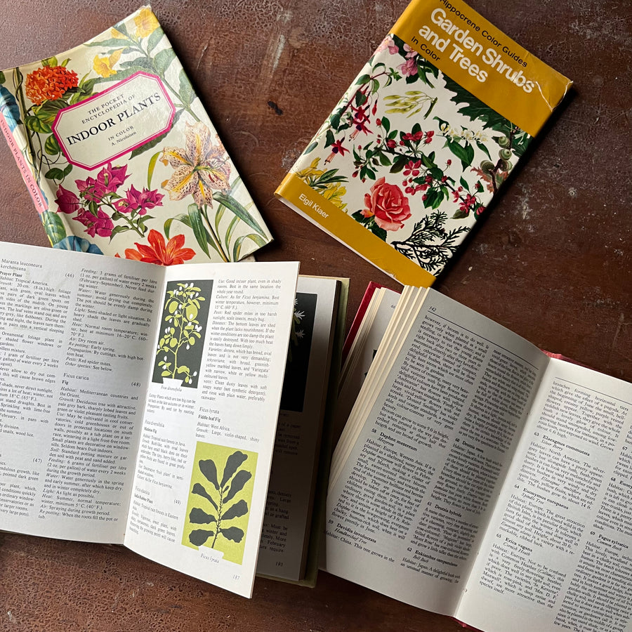 Pair of Vintage Plant Guides: Hippocrene Color Guides Garden Shrubs an ...