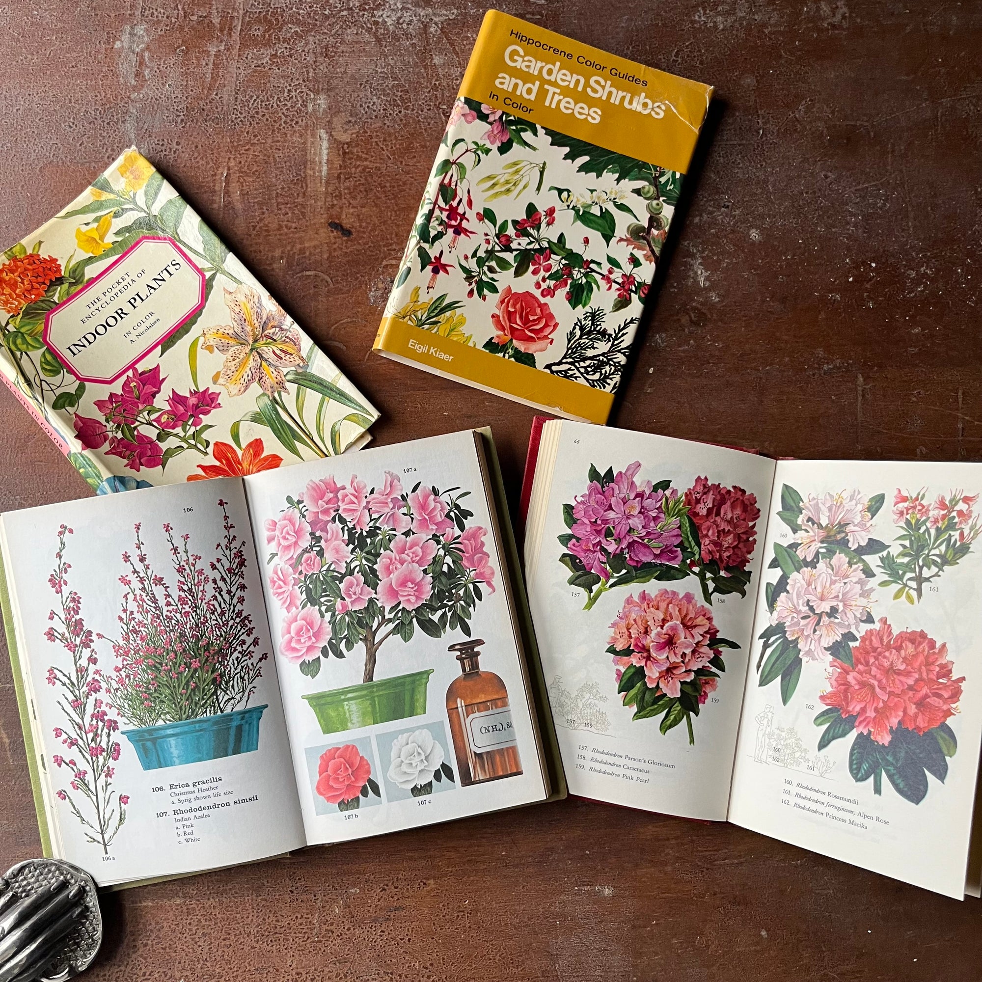 the pocket encyclopedia of indoor plants Pair of Vintage Plant Guides: Hippocrene Color Guides Garden Shrubs an