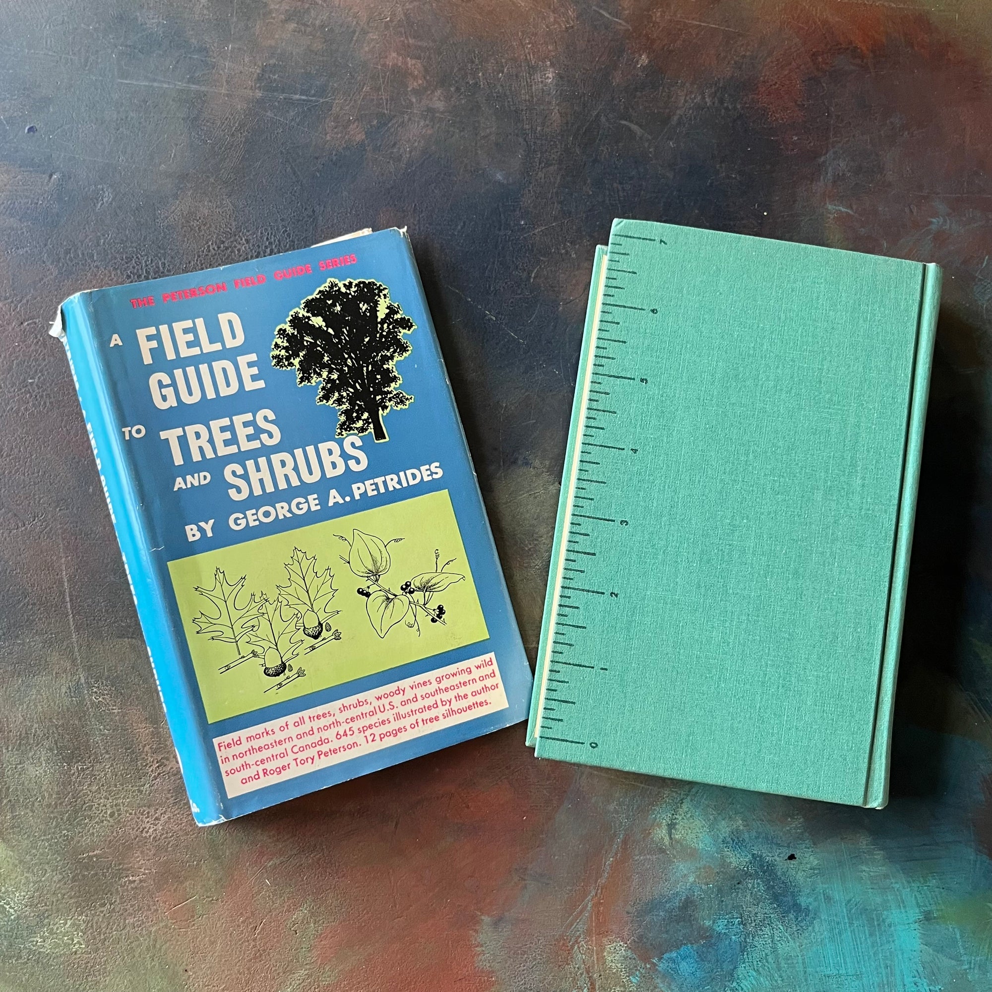 Peterson Field Guide Series-A Field Guide to Trees & Shrubs-Written by George A. Petrides-vintage nature guide-view of the back cover