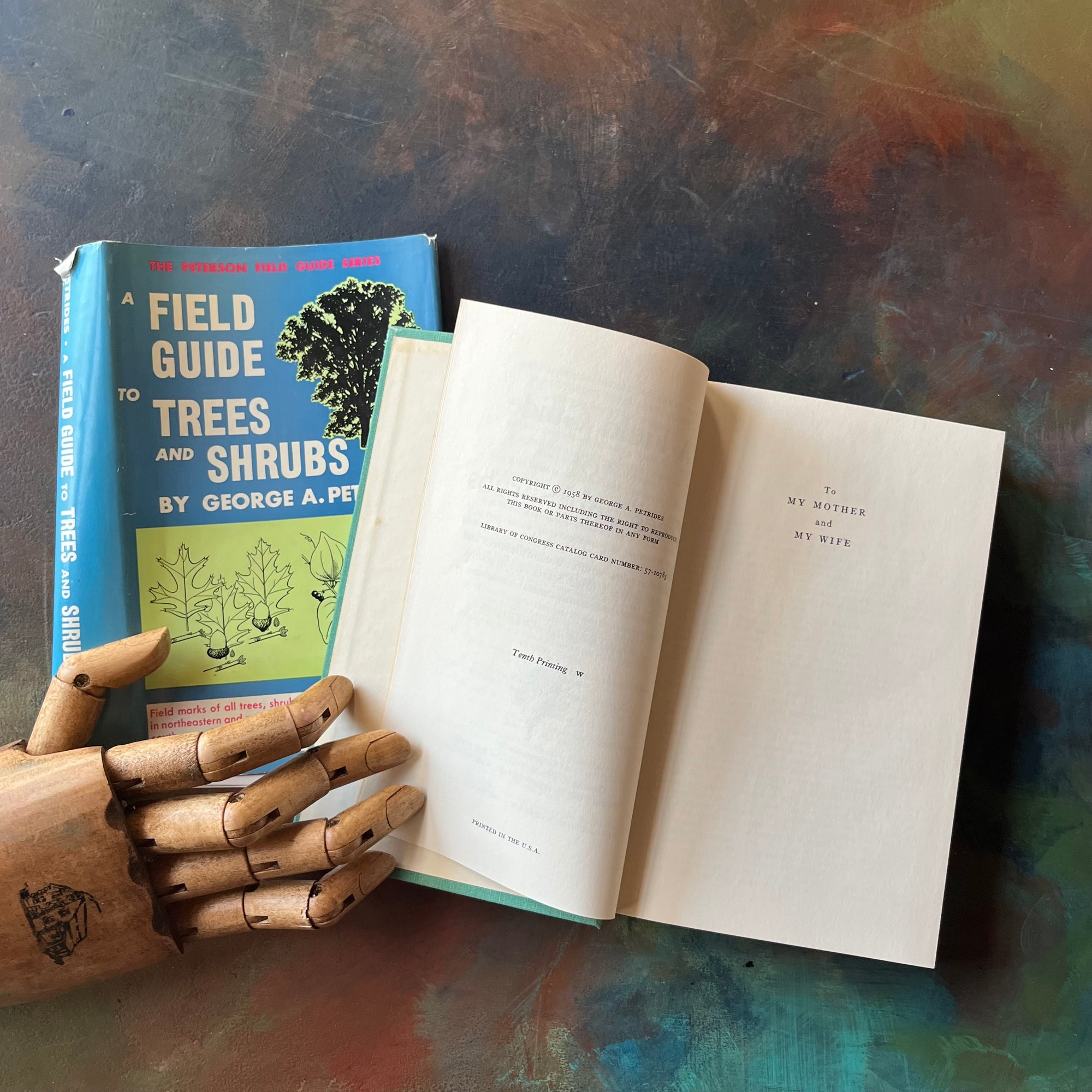 Peterson Field Guide Series-A Field Guide to Trees & Shrubs-Written by George A. Petrides-vintage nature guide-view of the copyright & dedication pages