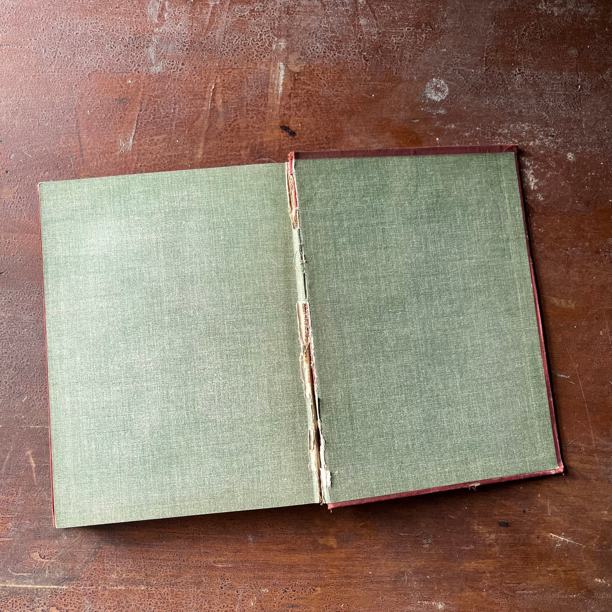 vintage children's chapter books - Pioneer Stories Every Child Should Know Leatherstocking Tales written by J. Fenimore Cooper - view of the back inside cover with same design as front inside cover - note the crack at the spine
