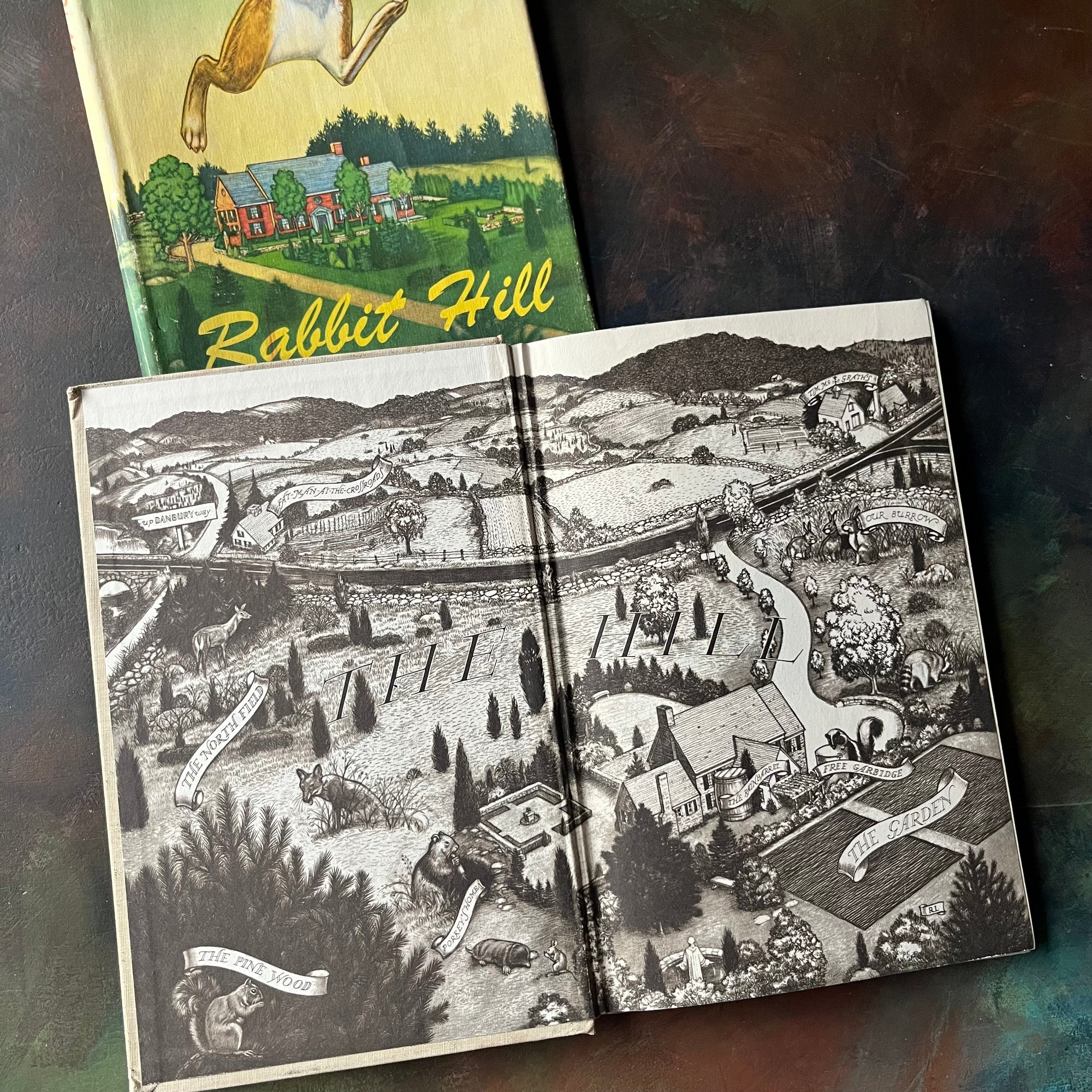 Rabbit Hill written & illustrated by Robert Lawson-John Newbery Medal Winning Book-vintage children's chapter book-living book-view of the inside cover