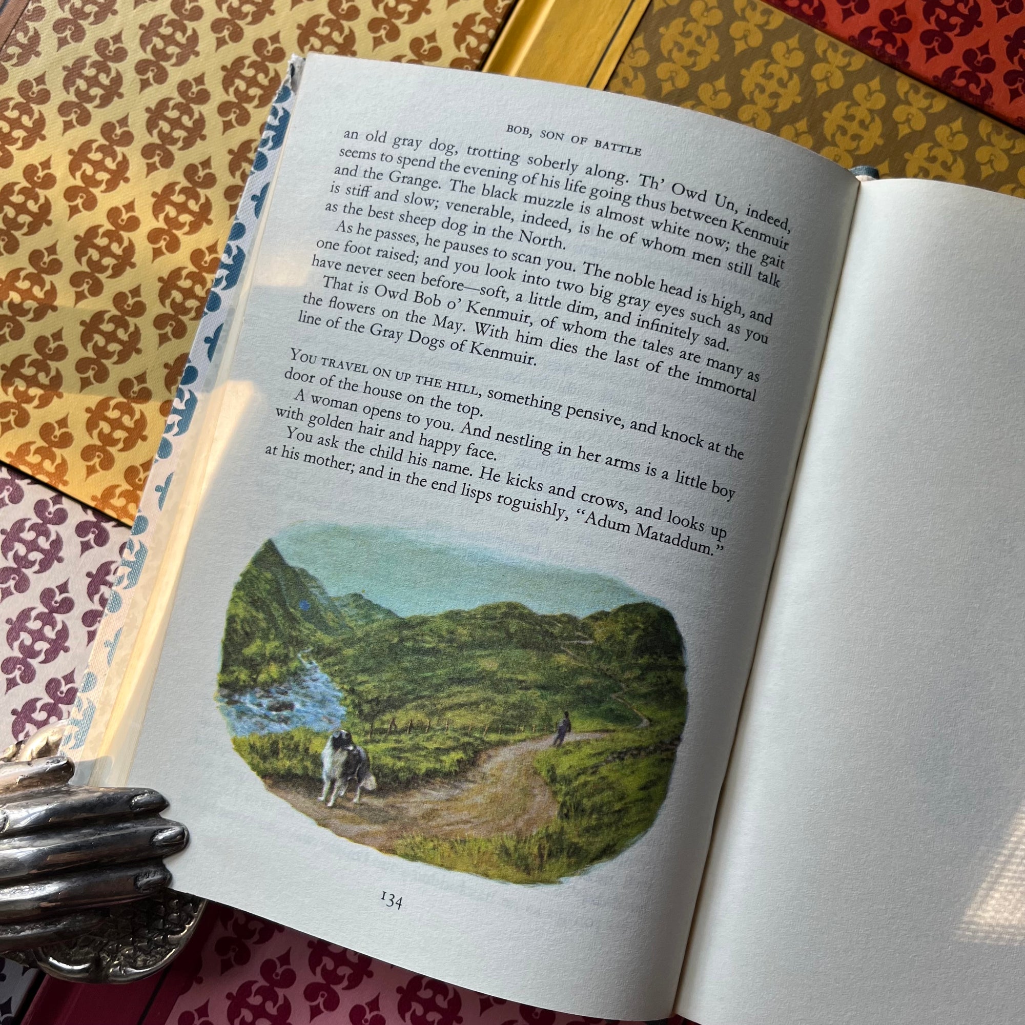 vintage children's books - Reader's Digest Best Loved Books For Young Readers Complete 14 Volume Set - view of the sample of illustrations from the books