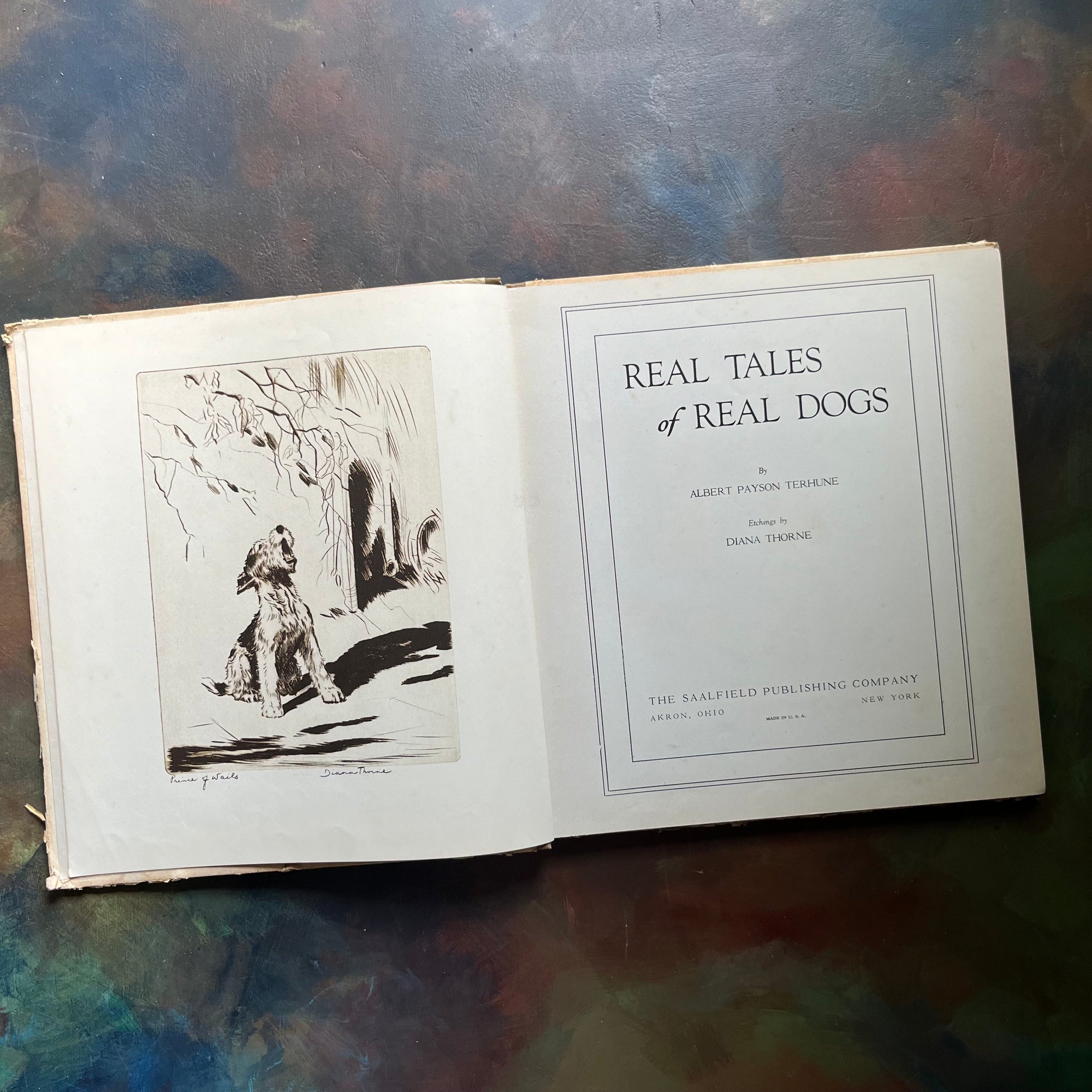 Withe Dog Tale Real Tales of Real Dogs by Albert Payson Terhune For Sale - Log Cabin ...
