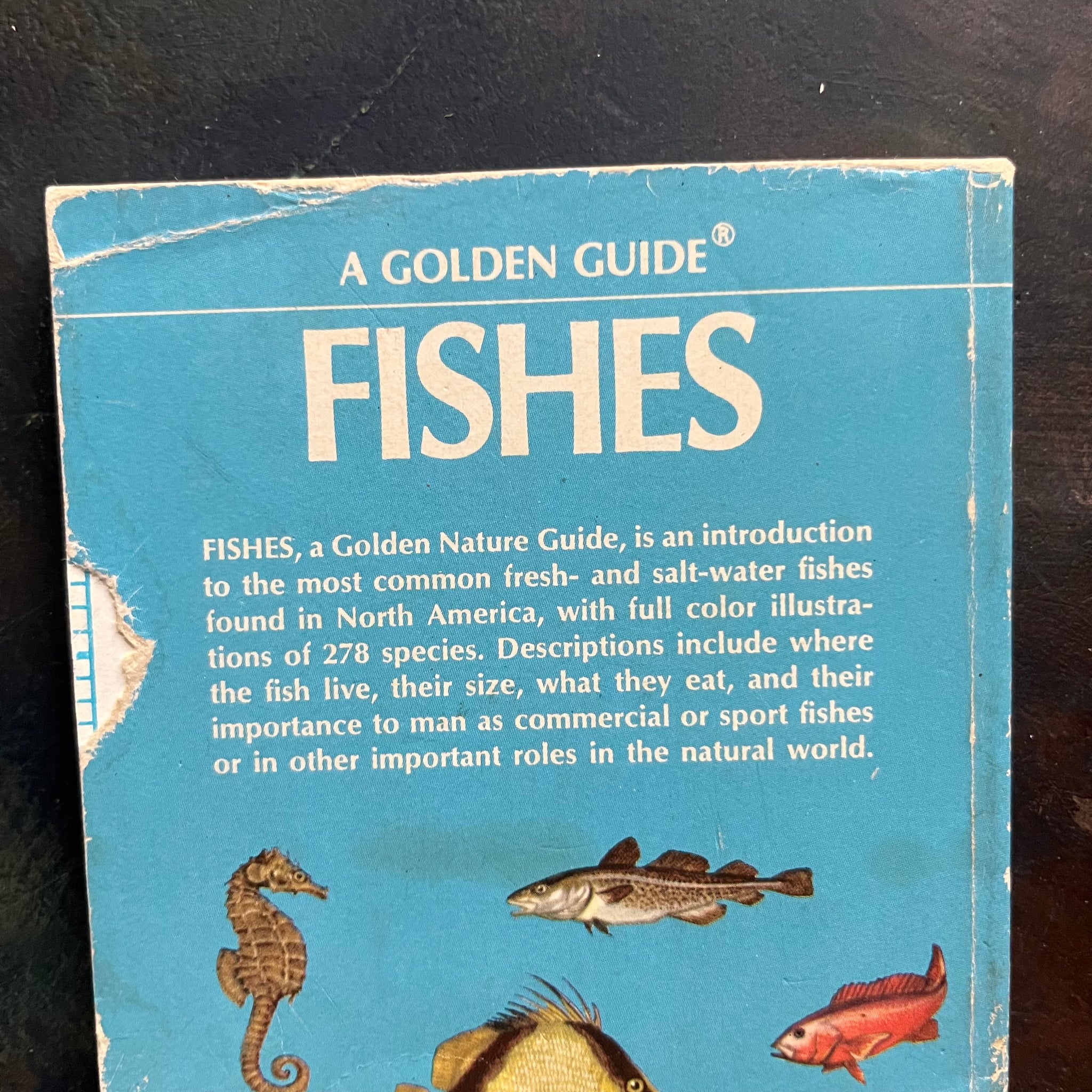 Golden Guide Weather Set of 4 Golden Guide Nature Pocket Guides: Insects, Fishes, Weather ...