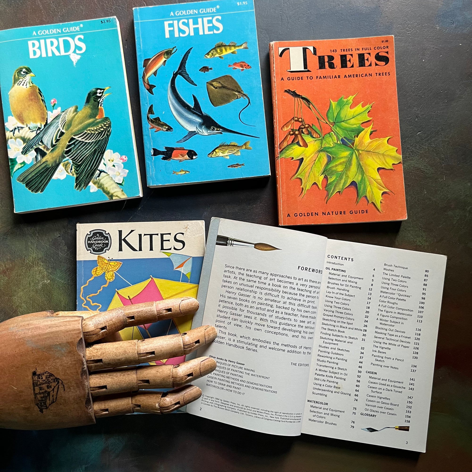 Old Nature Guide Set of 5 Golden Guide Nature Pocket Guides: Fishes, Kites, Guide to Pa ...