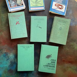 Set of 5 Peterson Field Guides Birds-Rocks & Minerals-Insects-Ferns-Reptiles & Amphibians-vintage field guides-nature guides-view of the front covers