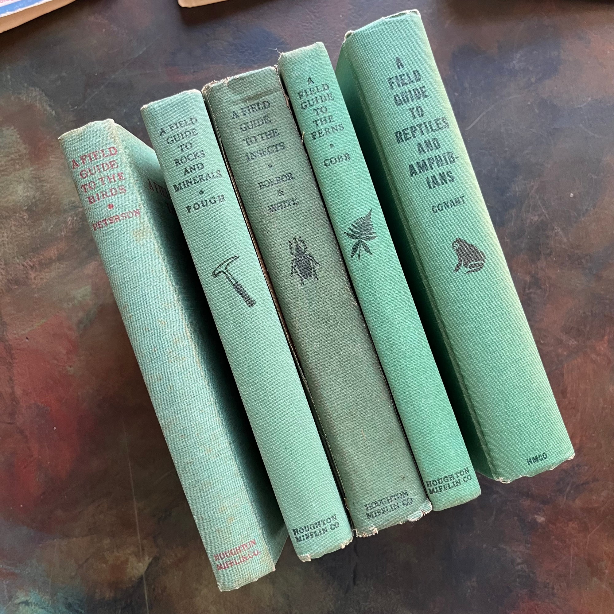 Set of 5 Peterson Field Guides Birds-Rocks & Minerals-Insects-Ferns-Reptiles & Amphibians-vintage field guides-nature guides-view of the spines