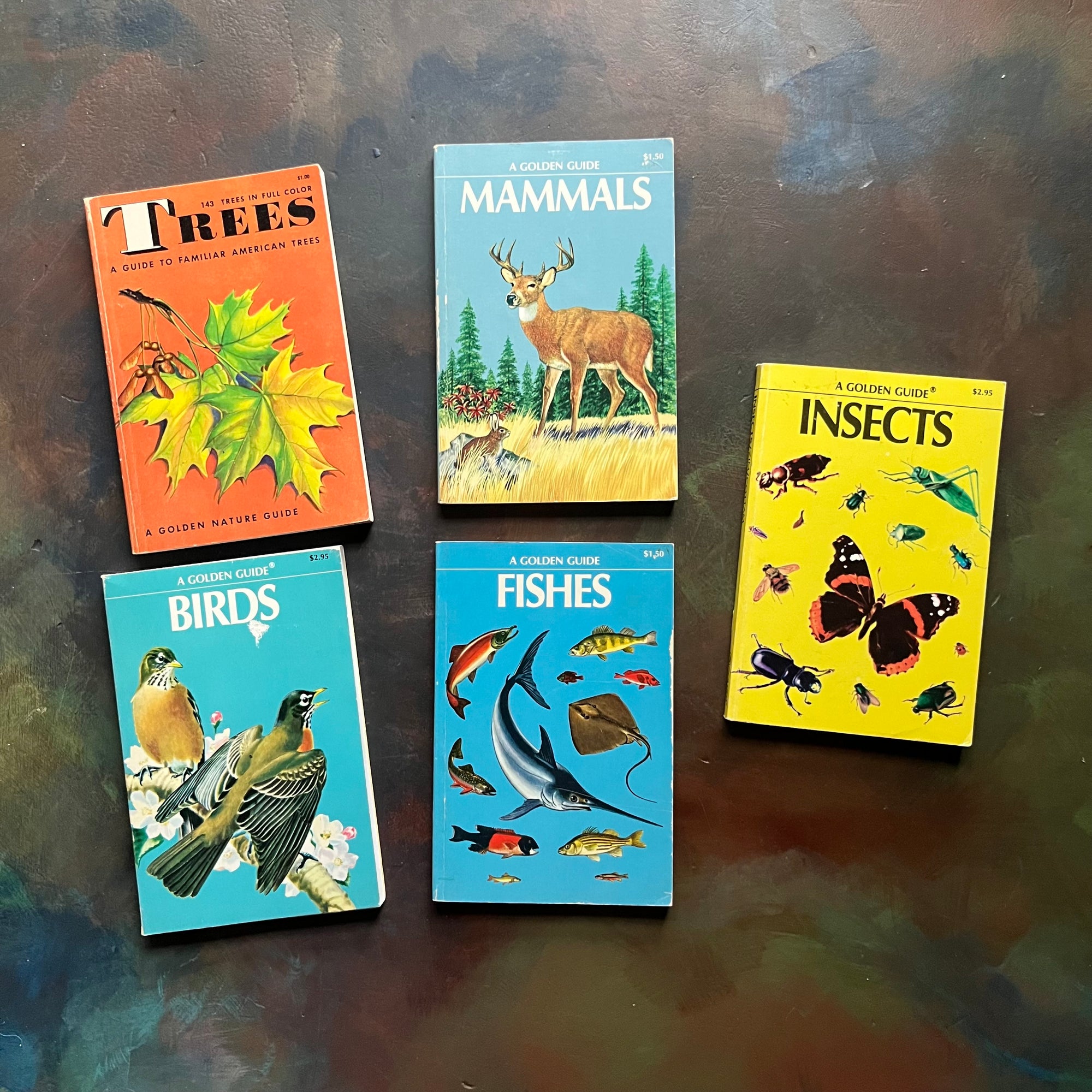 Set of 5 Vintage Golden Guides-Nature Pocket Guides-Insects, Birds, Trees, Mammals & Fishes-view of the front covers