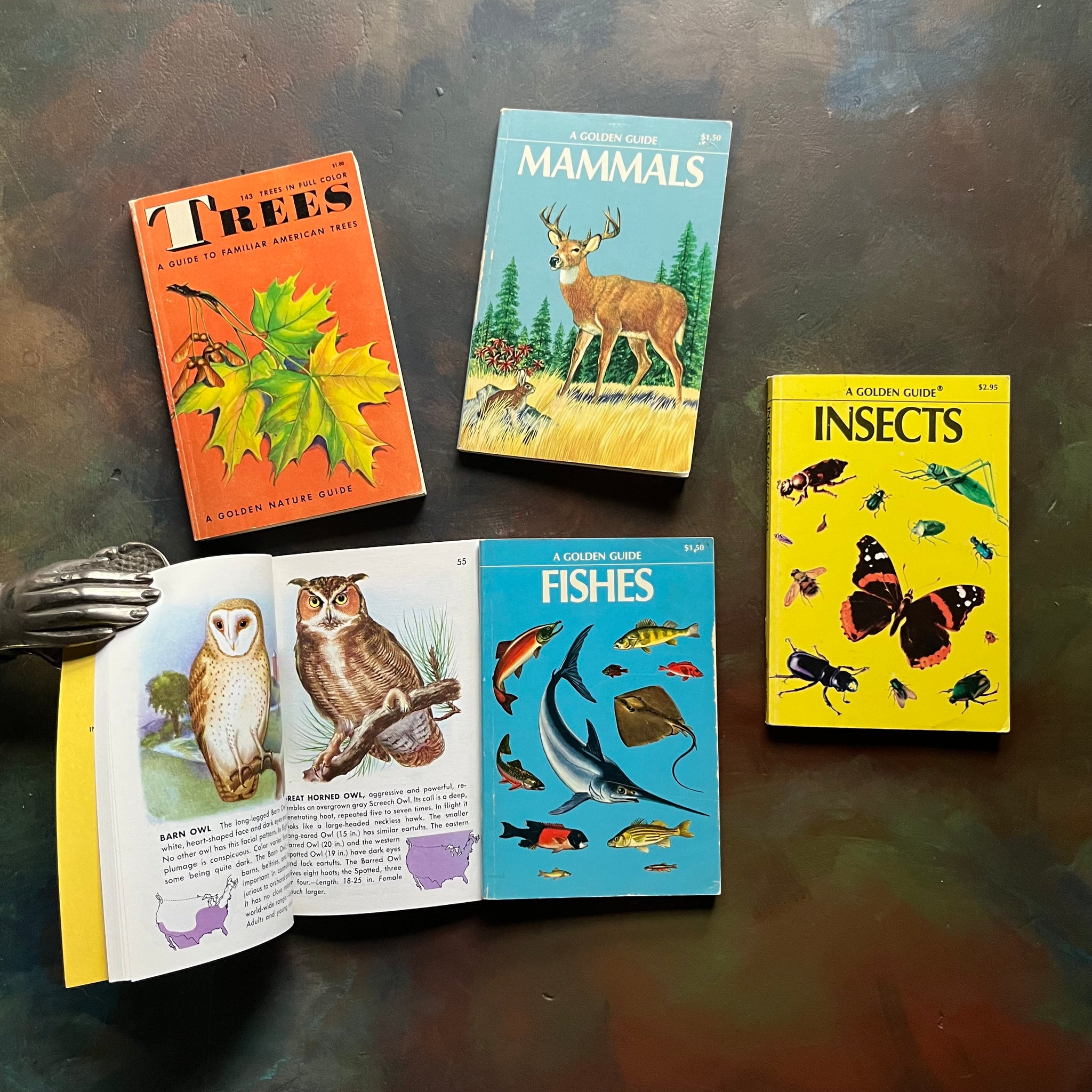 Old Nature Guide Set of 5 Golden Guide Nature Pocket Guides: Insects, Birds, Mammals, T ...
