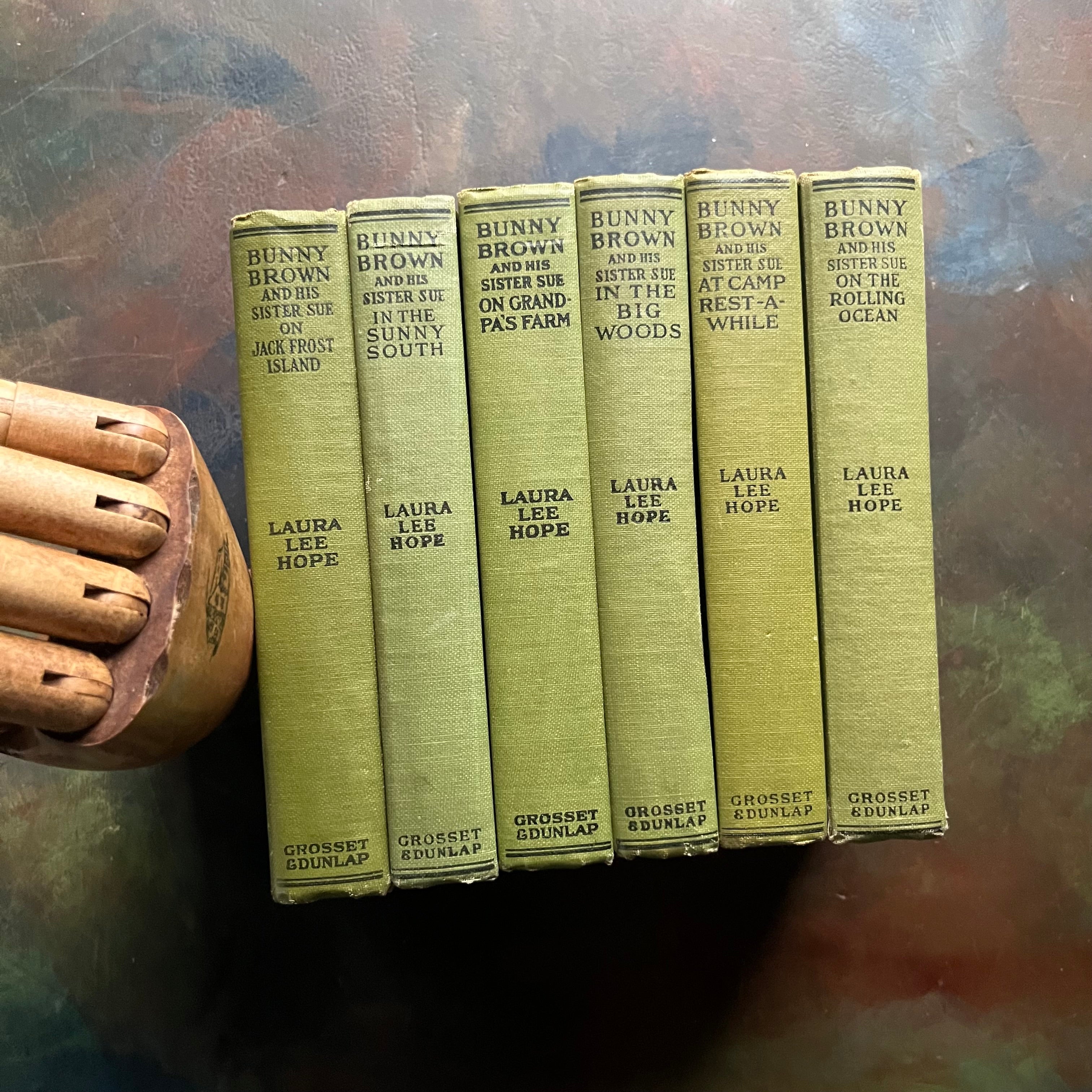 Set of 6 Bunny Brown and His Sister Sue Books-Laura Lee Hope-Howard Garis-antique children's books-wholesome children's stories-view of the spines