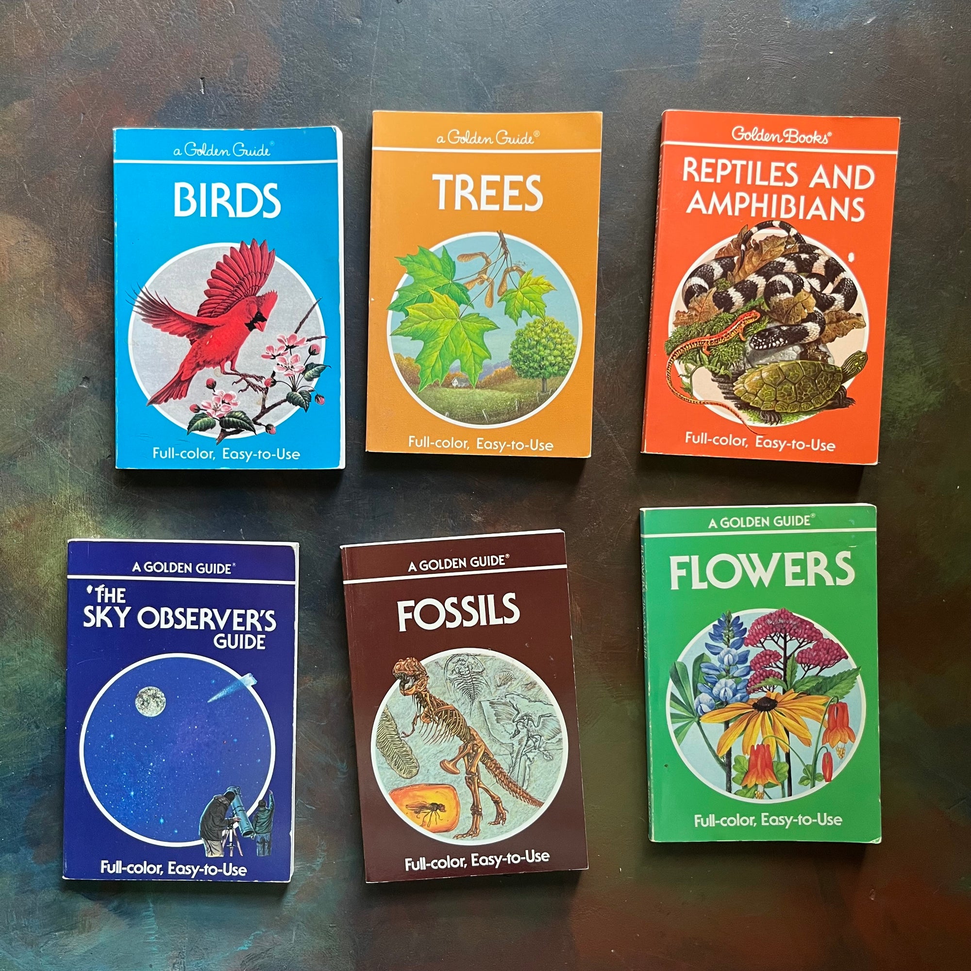Old Nature Guide Set of 6 Golden Guide Nature Pocket Guides: Flowers, Fossils, The Sky ...