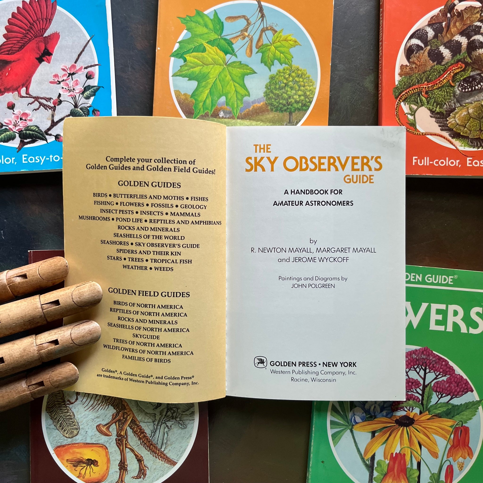 Old Nature Guide Set of 6 Golden Guide Nature Pocket Guides: Flowers, Fossils, The Sky ...