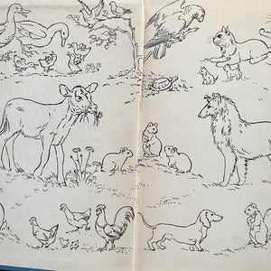 Set of 6 The Real Book About Books - Pets-Magic-Space Travel-Stars-Amazing Animals-Science Experiments-vintage children's science books-closeup view of the inside cover of Amazing Animals