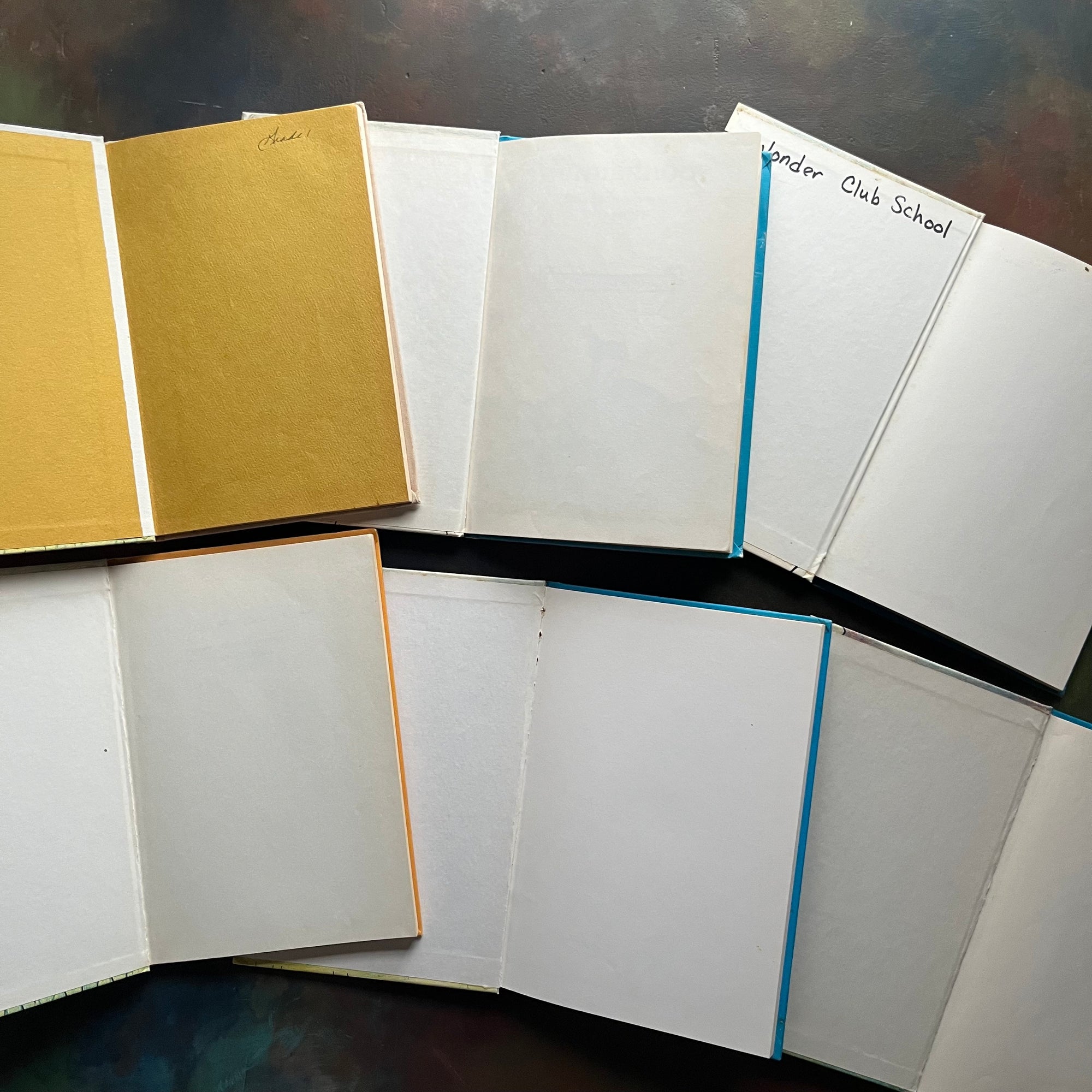 Set of 6 Vintage Picture Books written & illustrated by Syd Hoff-vintage I Can Read books-children's picture book set-view of the inside covers - note there are names written on two of the inside covers