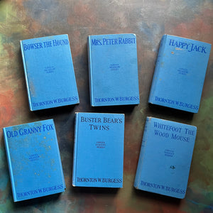Set of 6 illustrated Thornton W. Burgess Green Forest and Green Meadows Series Story-Books-vintage animal stories for children-read aloud favorites-Harrison Cady Illustrations - view of the blue front covers