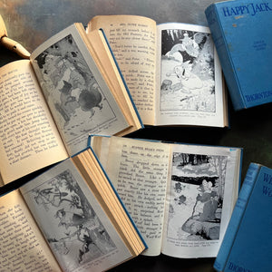 Set of 6 illustrated Thornton W. Burgess Green Forest and Green Meadows Series Story-Books-vintage animal stories for children-read aloud favorites-Harrison Cady Illustrations - view of the illustrations