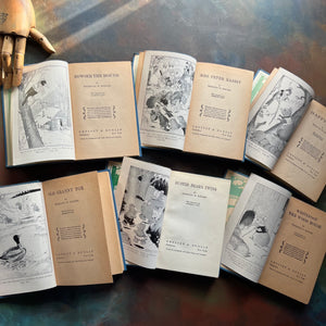 Set of 6 illustrated Thornton W. Burgess Green Forest and Green Meadows Series Story-Books-vintage animal stories for children-read aloud favorites-Harrison Cady Illustrations - view of the title pages