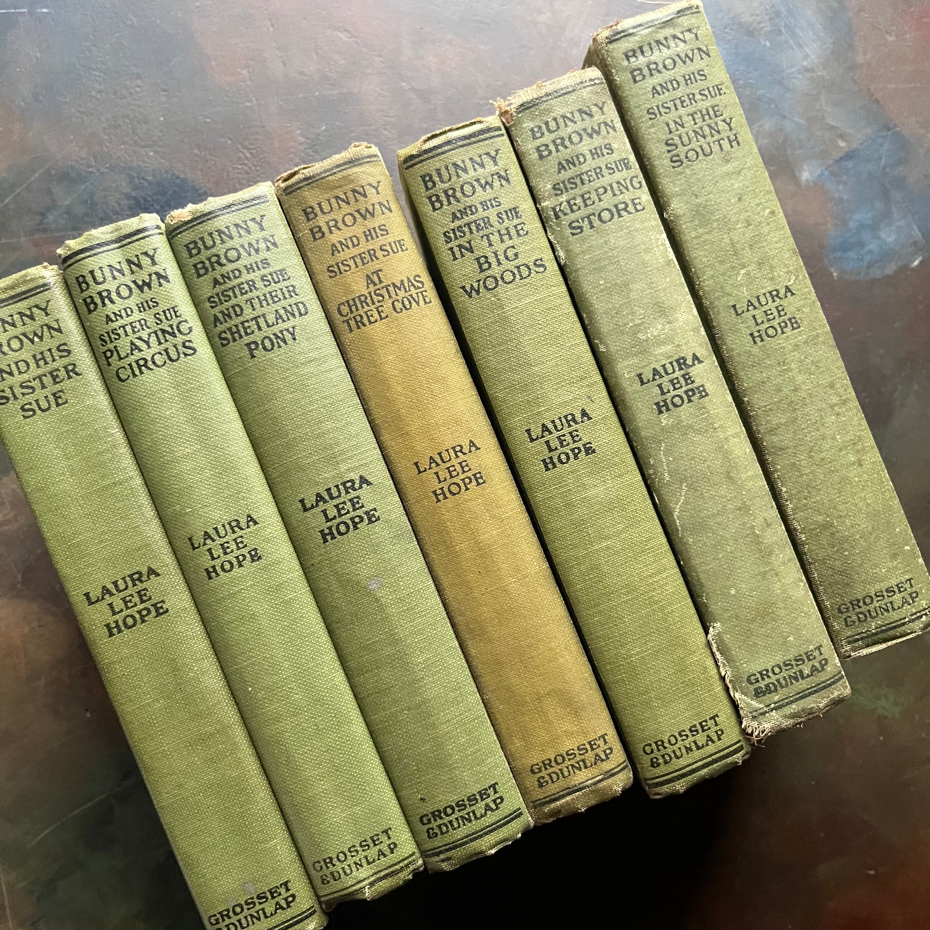Set of 7 Bunny Brown and His Sister Sue Books-Laura Lee Hope-Howard Garis-antique children's books-wholesome children's stories-view of the spines- note the wear around the edges as well as the color variations dues to printing dates/runs