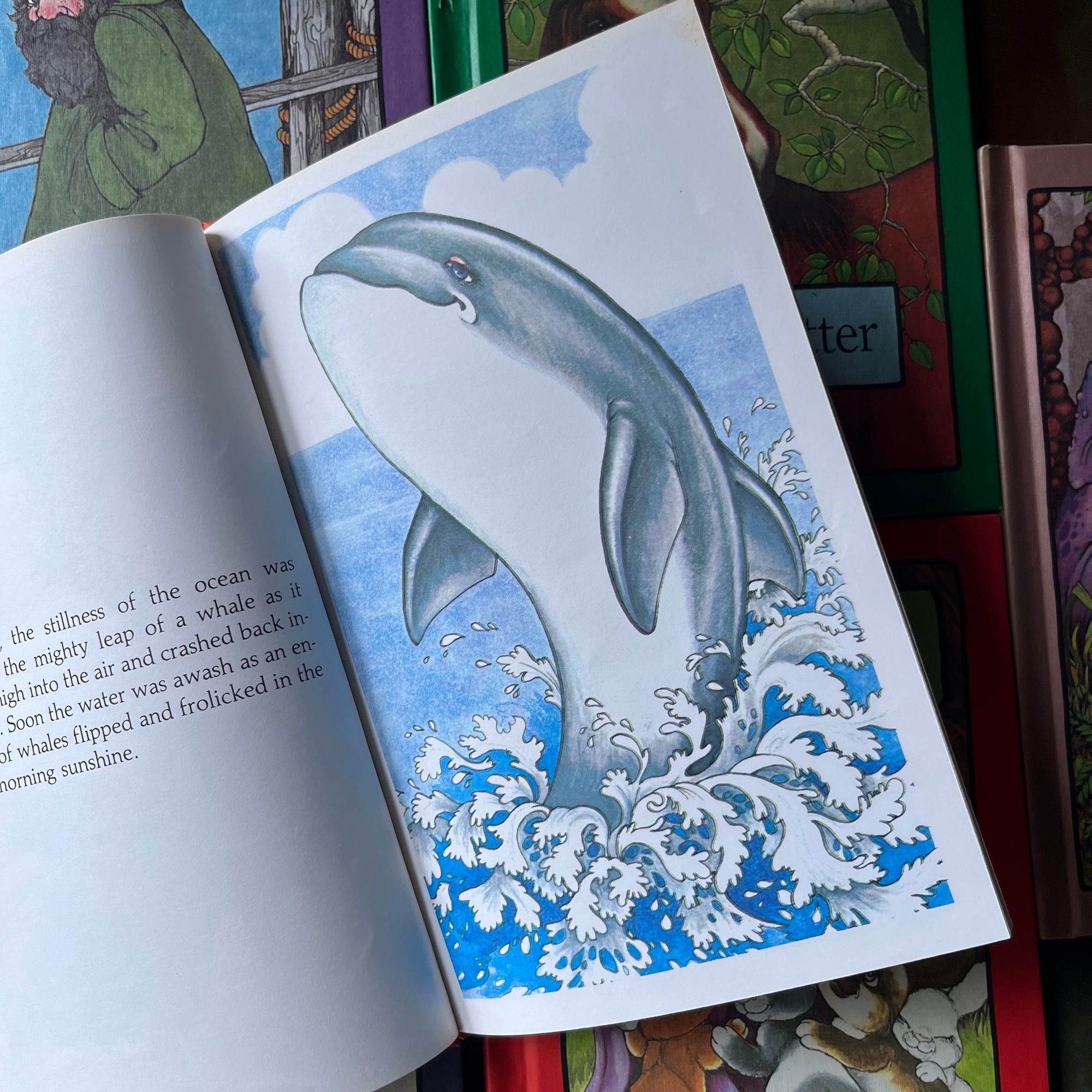 Collection of Serendipity books written by Stephen Cosgrove with illustrations by Robin James -1980's kid's books-view of the illustrations