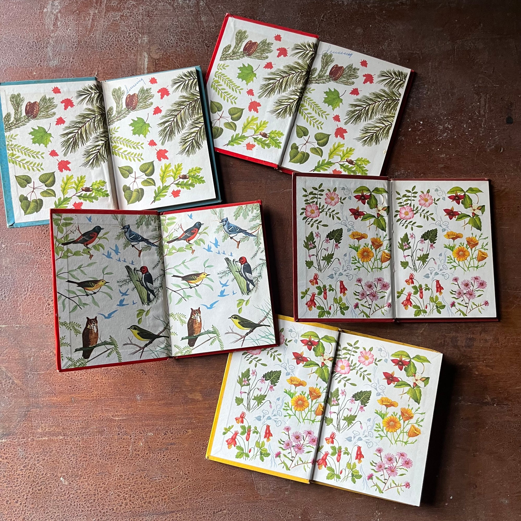 vintage nature guides - Set of Five Whitman Pocket Field Guides:  The Blue Book of Trees, The Red Book of Trees, The Red Book of Birds, Woodland Flowers & Field Flowers - view of the inside covers