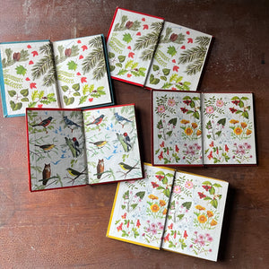 vintage nature guides - Set of Five Whitman Pocket Field Guides:  The Blue Book of Trees, The Red Book of Trees, The Red Book of Birds, Woodland Flowers & Field Flowers - view of the inside covers