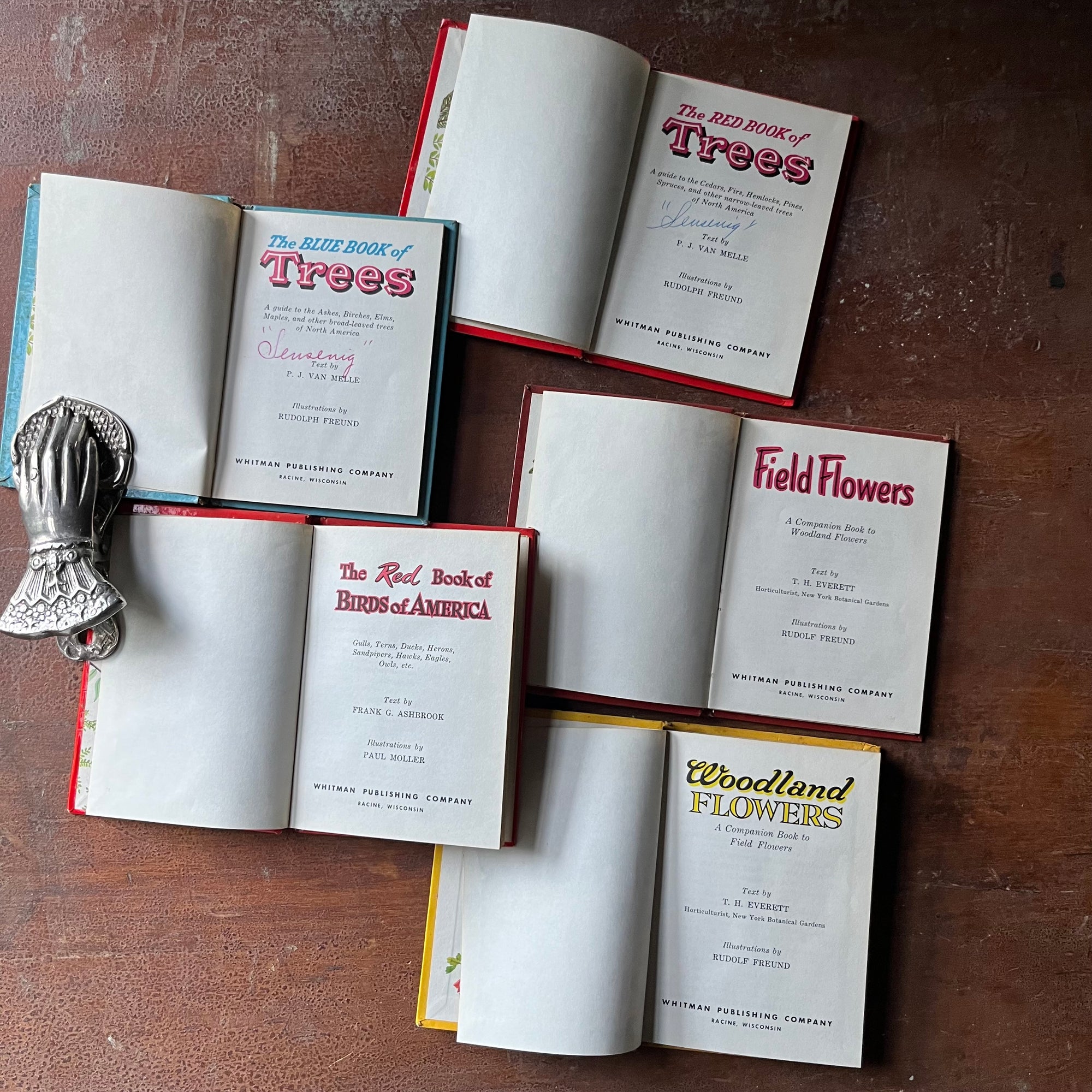 vintage nature guides - Set of Five Whitman Pocket Field Guides:  The Blue Book of Trees, The Red Book of Trees, The Red Book of Birds, Woodland Flowers & Field Flowers - view of the title pages