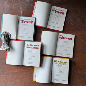 vintage nature guides - Set of Five Whitman Pocket Field Guides:  The Blue Book of Trees, The Red Book of Trees, The Red Book of Birds, Woodland Flowers & Field Flowers - view of the title pages