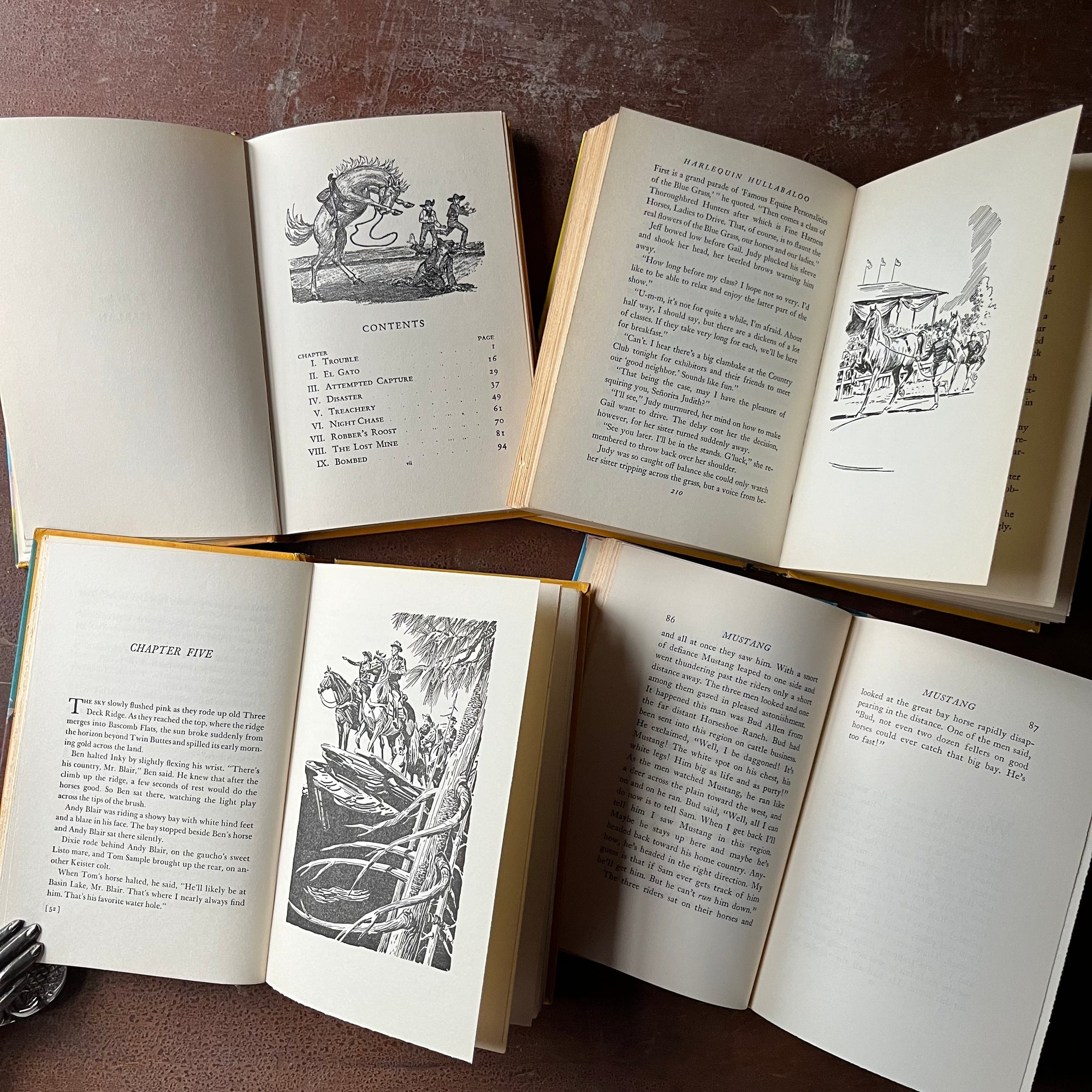 Set of Four Famous Horse Story Books-Mustang, Wild Palomino, Bleugrass Champion & Lost Horse-vintage children's chapter books-view of the illustrations found in the books