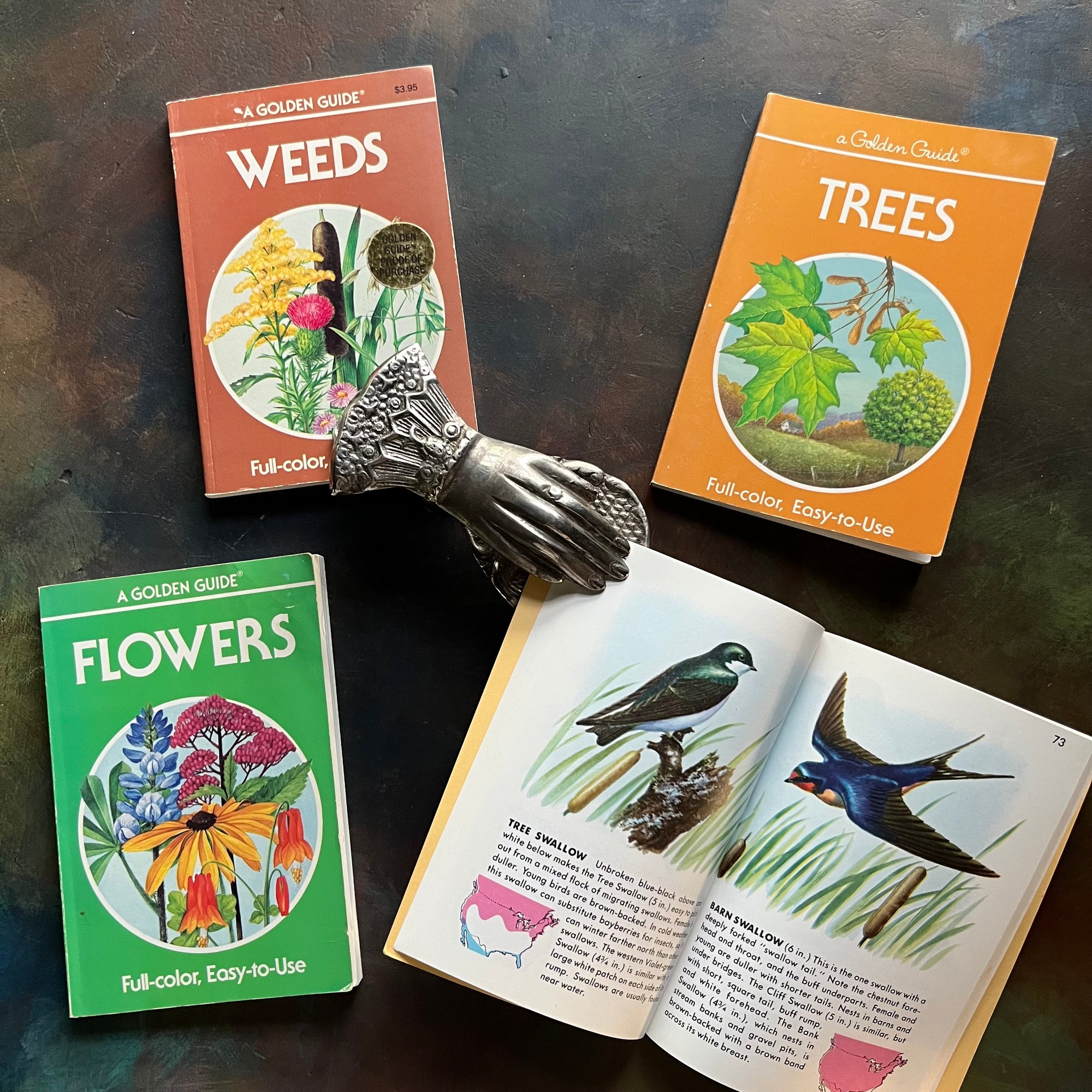 Set of Four Vintage Golden Guide Books-nature pocket guides-Birds, Flowers, Trees, and Weeds-view of the illustrations in Birds