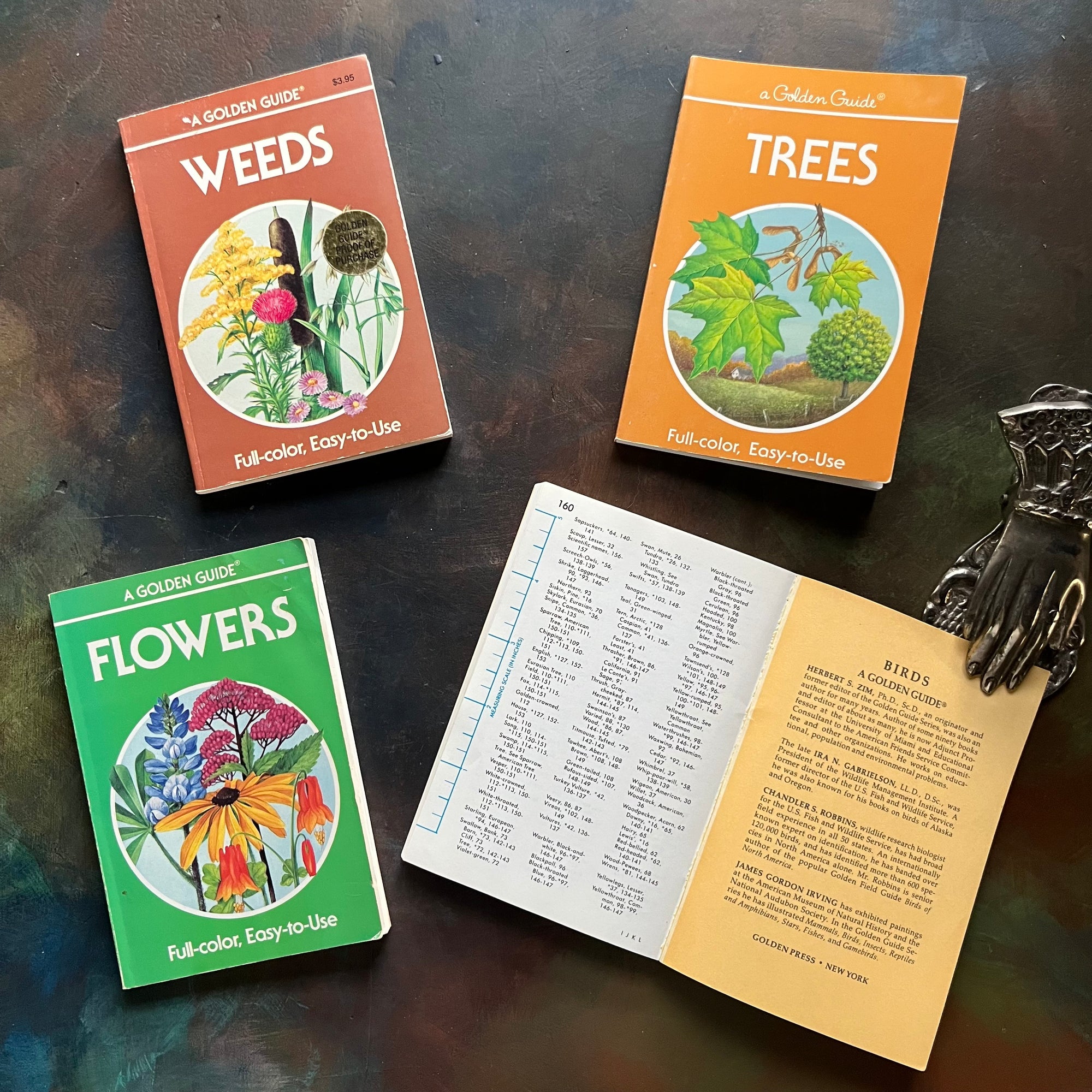Set of Four Vintage Golden Guide Books-nature pocket guides-Birds, Flowers, Trees, and Weeds-view of the index at the back of Birds