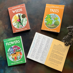Set of Four Vintage Golden Guide Books-nature pocket guides-Birds, Flowers, Trees, and Weeds-view of the index at the back of Birds