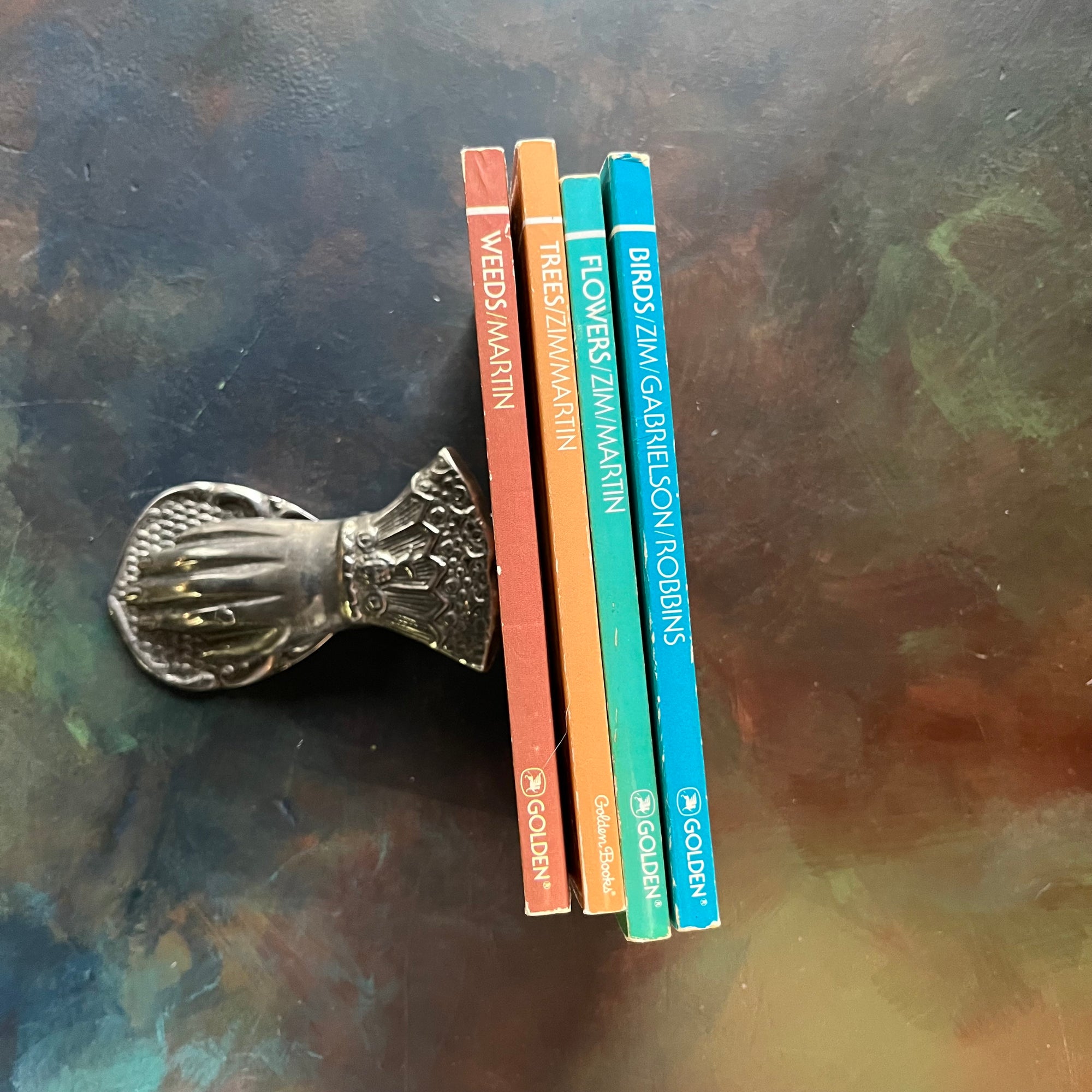 Set of Four Vintage Golden Guide Books-nature pocket guides-Birds, Flowers, Trees, and Weeds-view of the spines