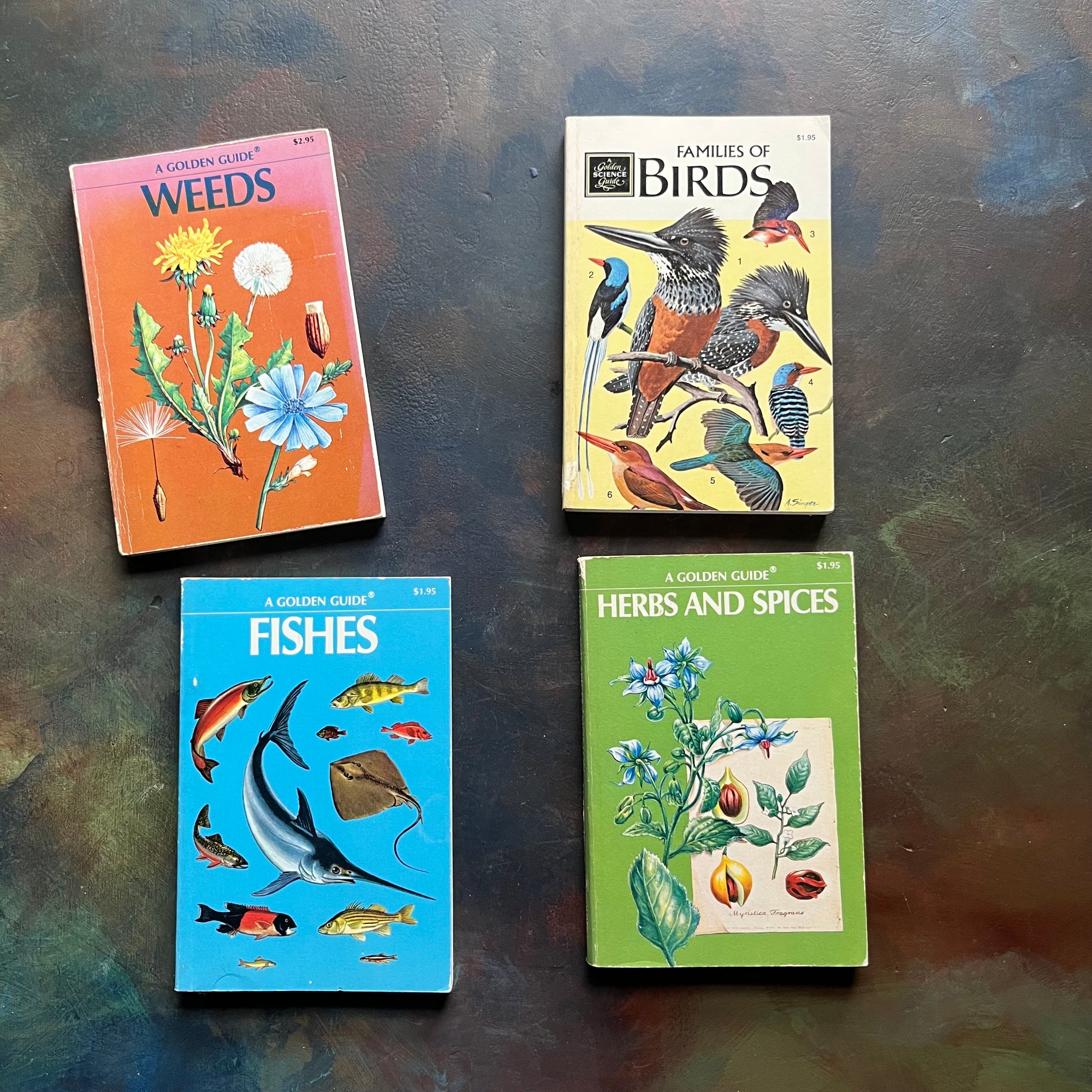 Set of Four Vintage Golden Guides-Nature Pocket Guides-Weeds, Families of Birds, Fishes & Herbs and Spices-view of the front covers