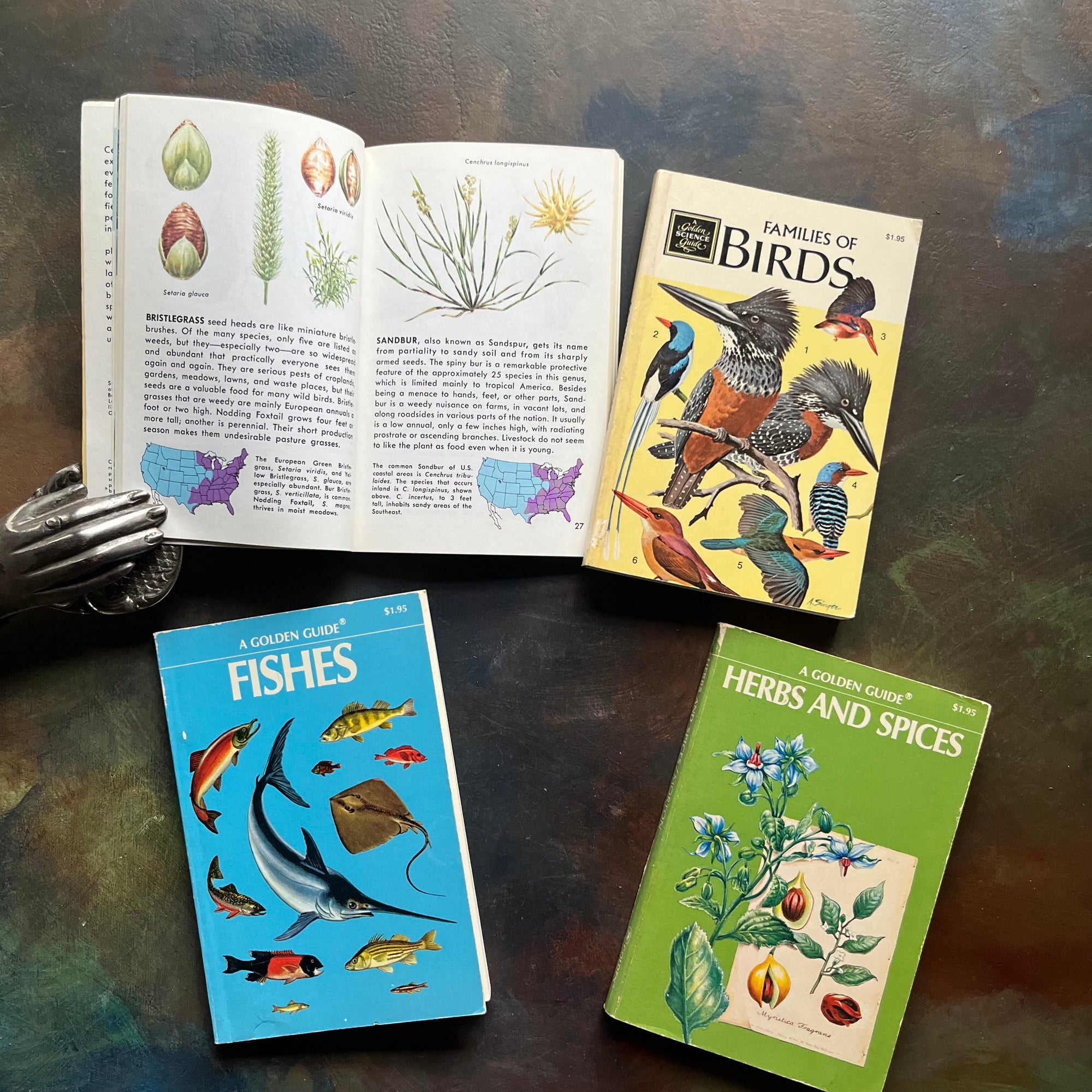 Set of Four Vintage Golden Guides-Nature Pocket Guides-Weeds, Families of Birds, Fishes & Herbs and Spices-view of the illustrations in Weeds