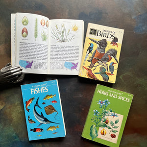 Set of Four Vintage Golden Guides-Nature Pocket Guides-Weeds, Families of Birds, Fishes & Herbs and Spices-view of the illustrations in Weeds