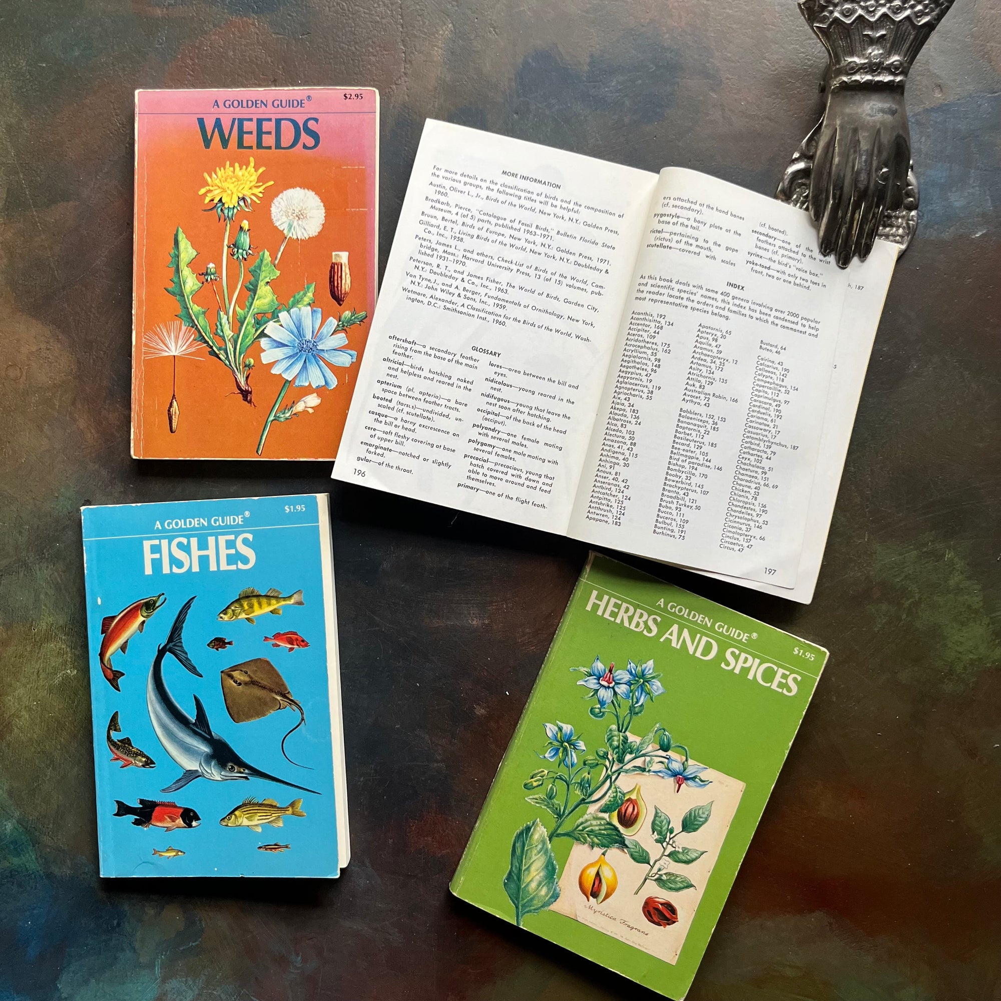 Set of Four Vintage Golden Guides-Nature Pocket Guides-Weeds, Families of Birds, Fishes & Herbs and Spices-view of the index at the back of Families of Birds