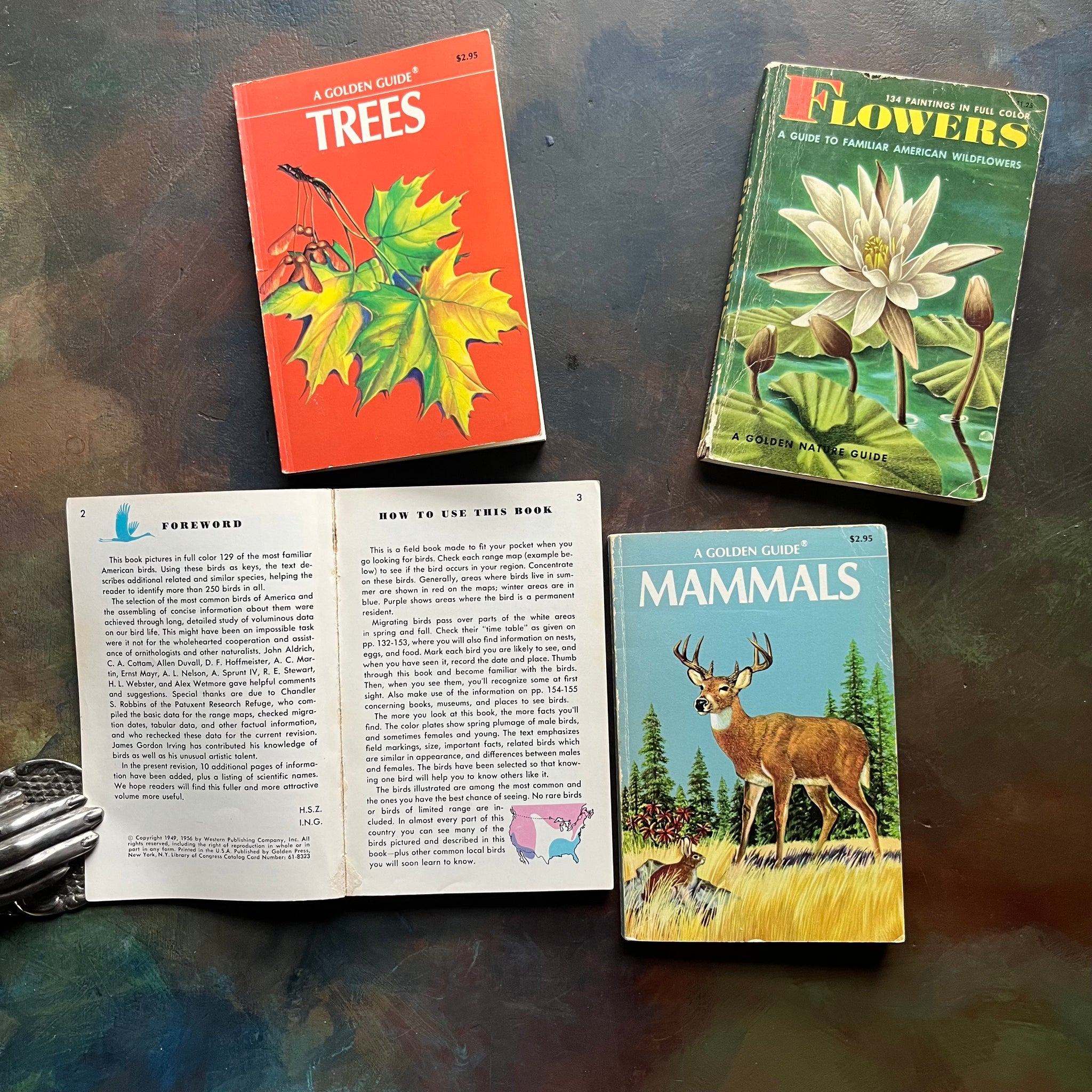 Old Nature Guide Set of Golden Guide Nature Pocket Guides: Mammals, Birds, Flowers & Tr ...