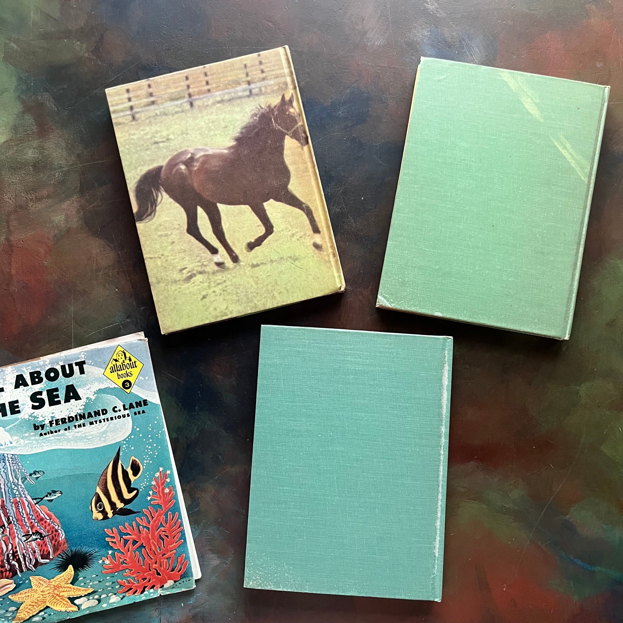 Set of Three All About Books-All About Horses-All About Dinosaurs-All About The Sea-science books for kids-vintage books for children-view of the back covers